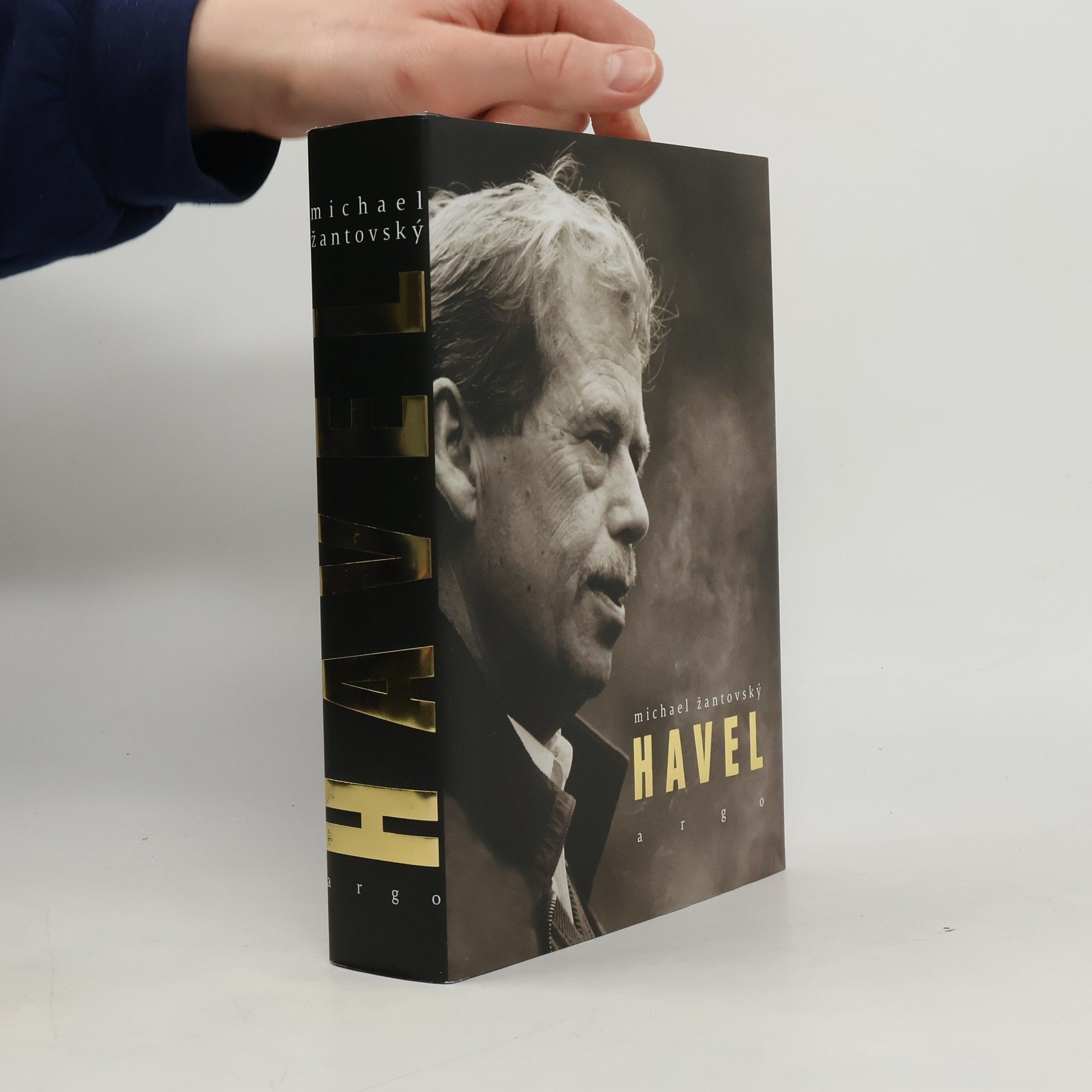 Michael Žantovský Havel