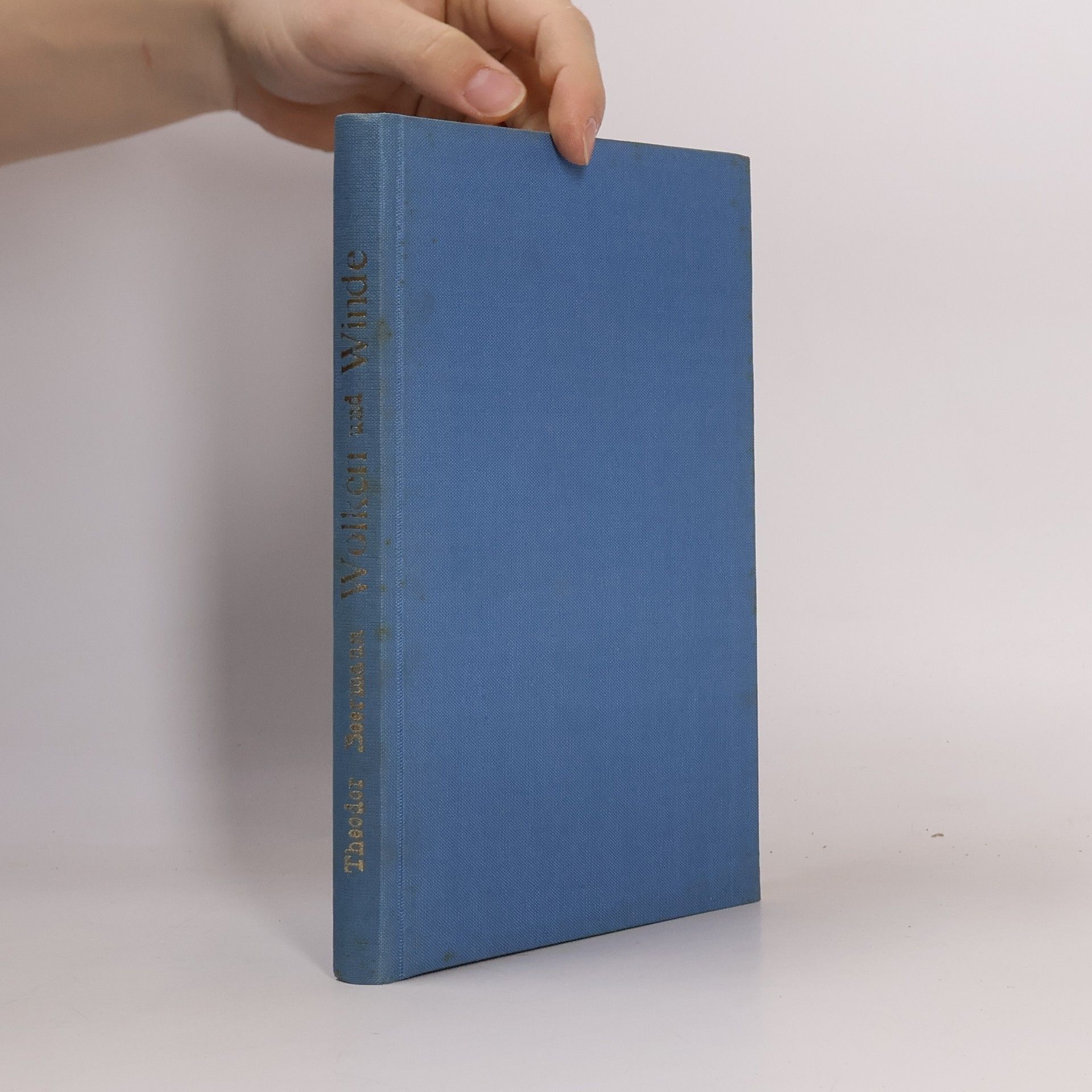 Theodor Beermann Wolken und Winde