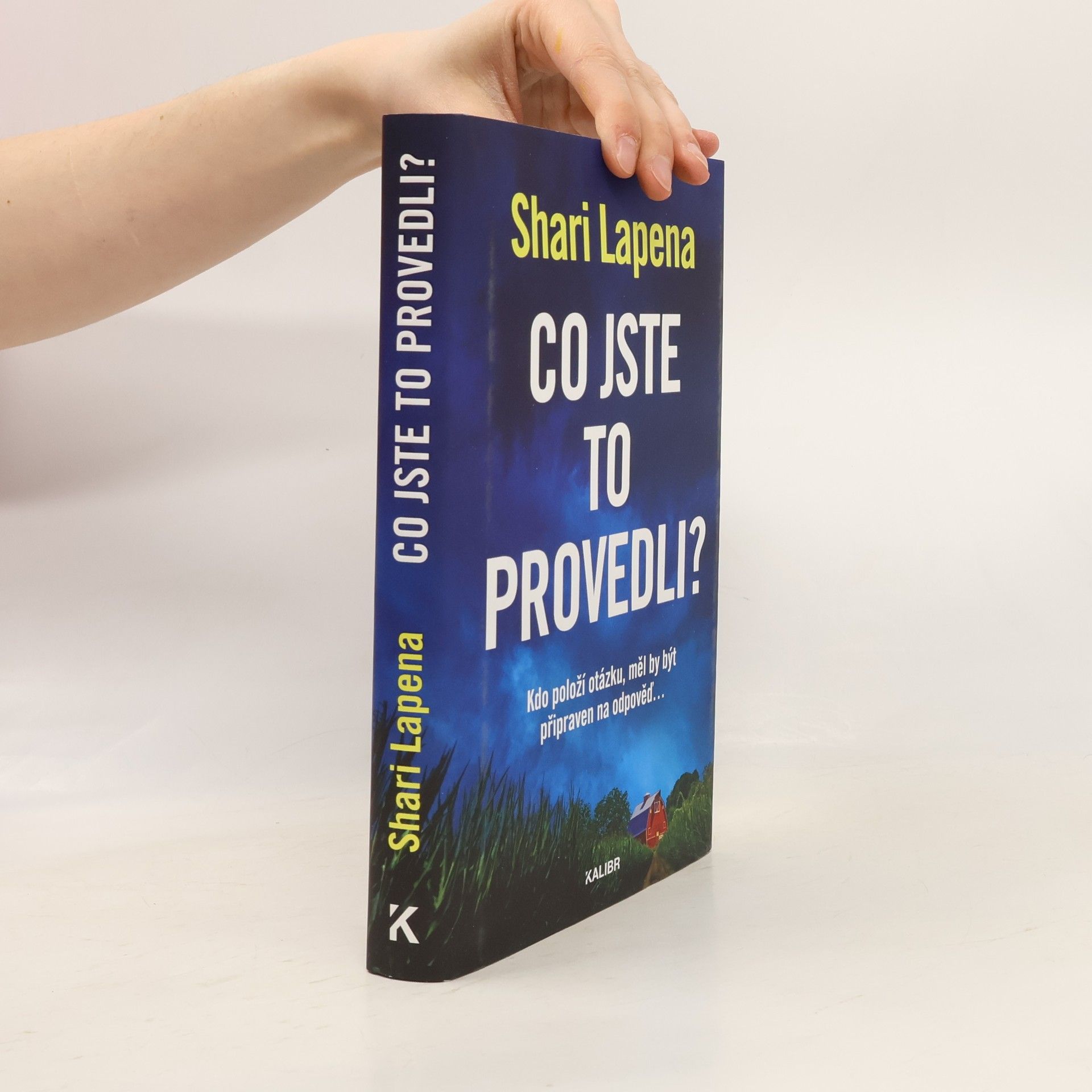 Shari Lapena Co jste to provedli?