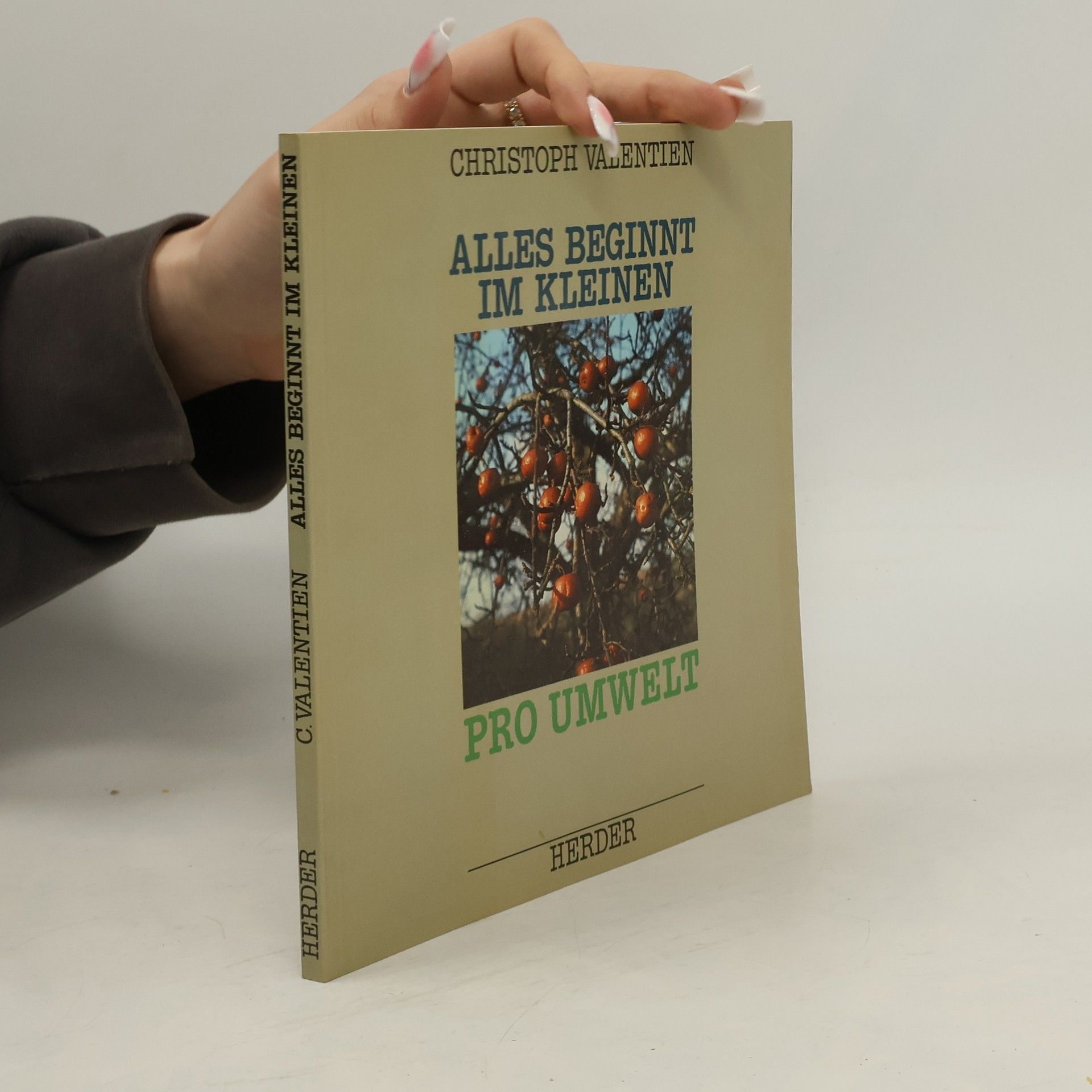 Christoph Valentien Alles beginnt im Kleinen
