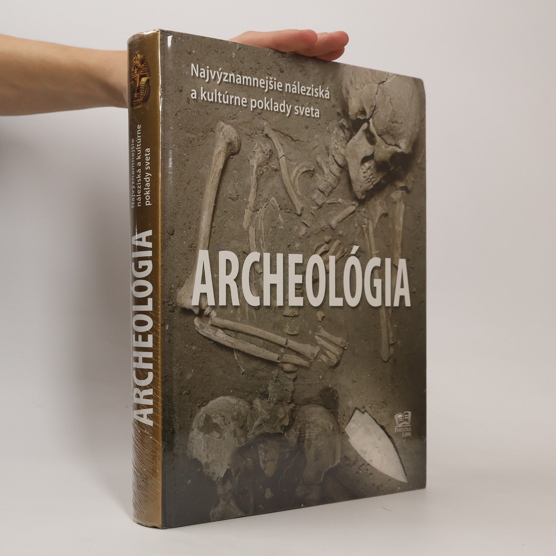 Aedeen Cremin Archeológia - Najvýznamnejšie náleziská a kultúrne poklady sveta