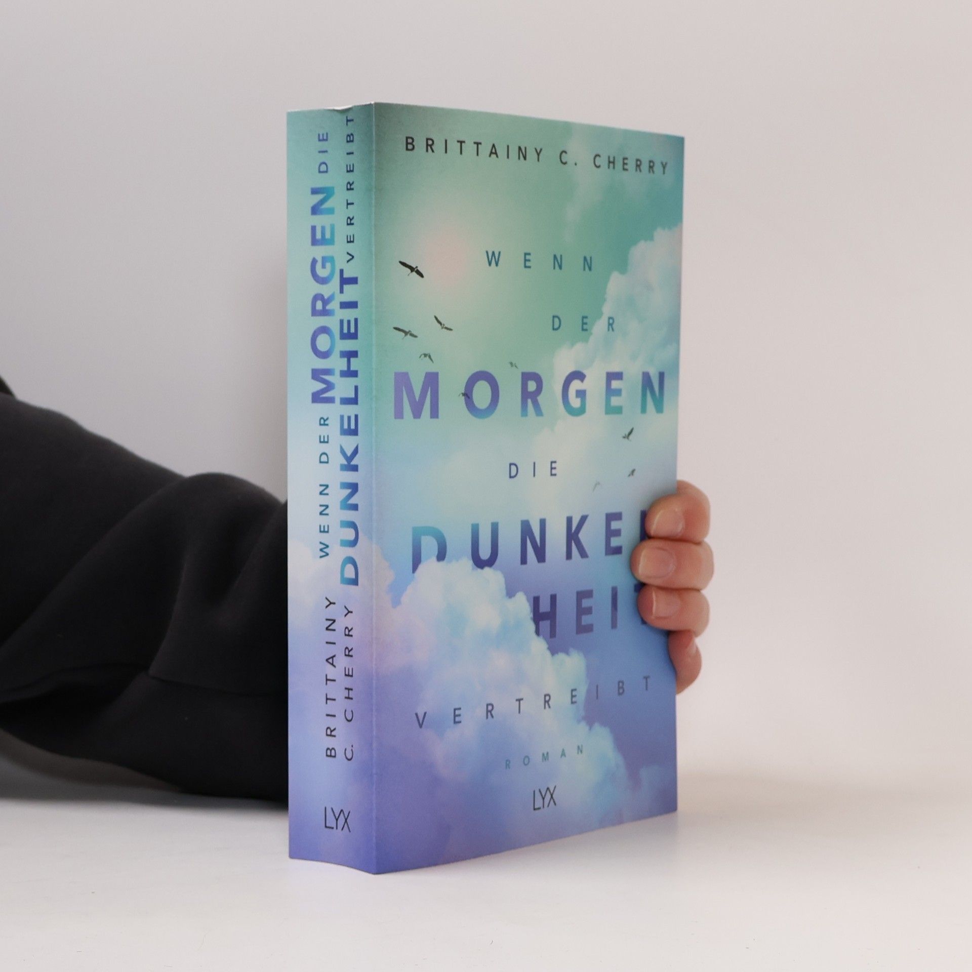 Brittainy C. Cherry Wenn der Morgen die Dunkelheit vertreibt