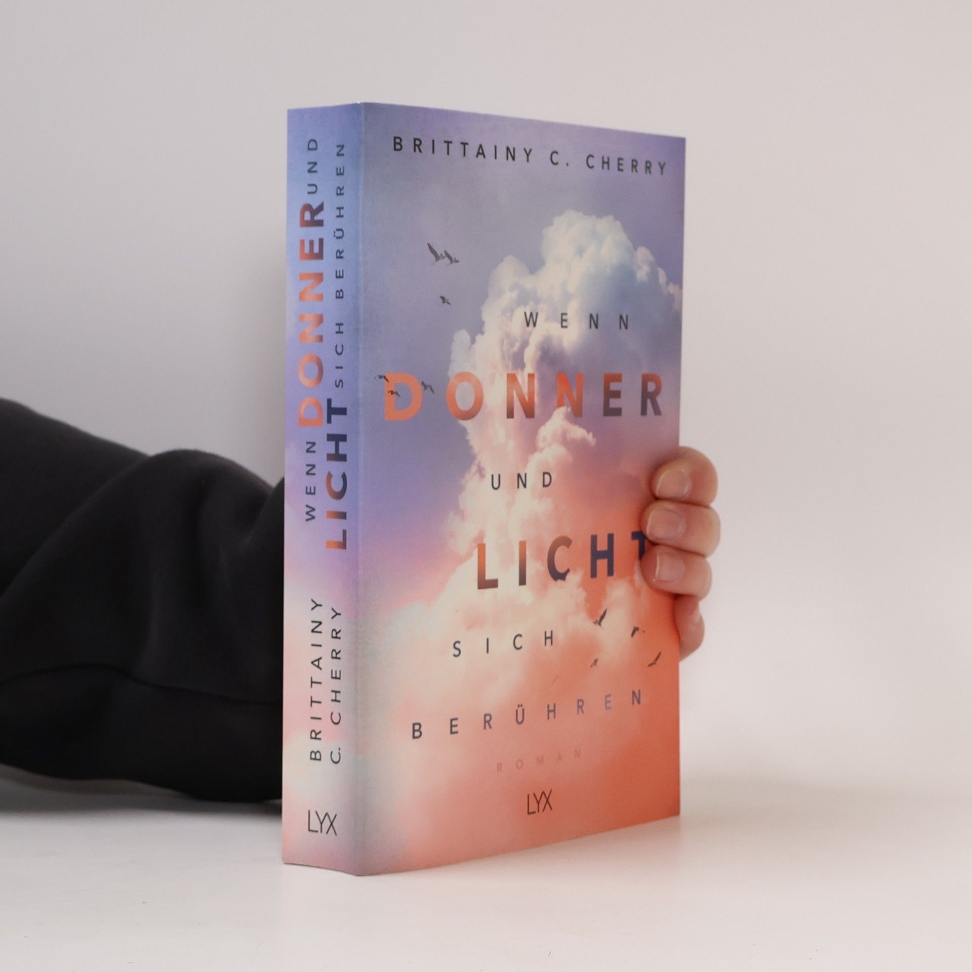 Brittainy C. Cherry Wenn Donner und Licht sich berühren