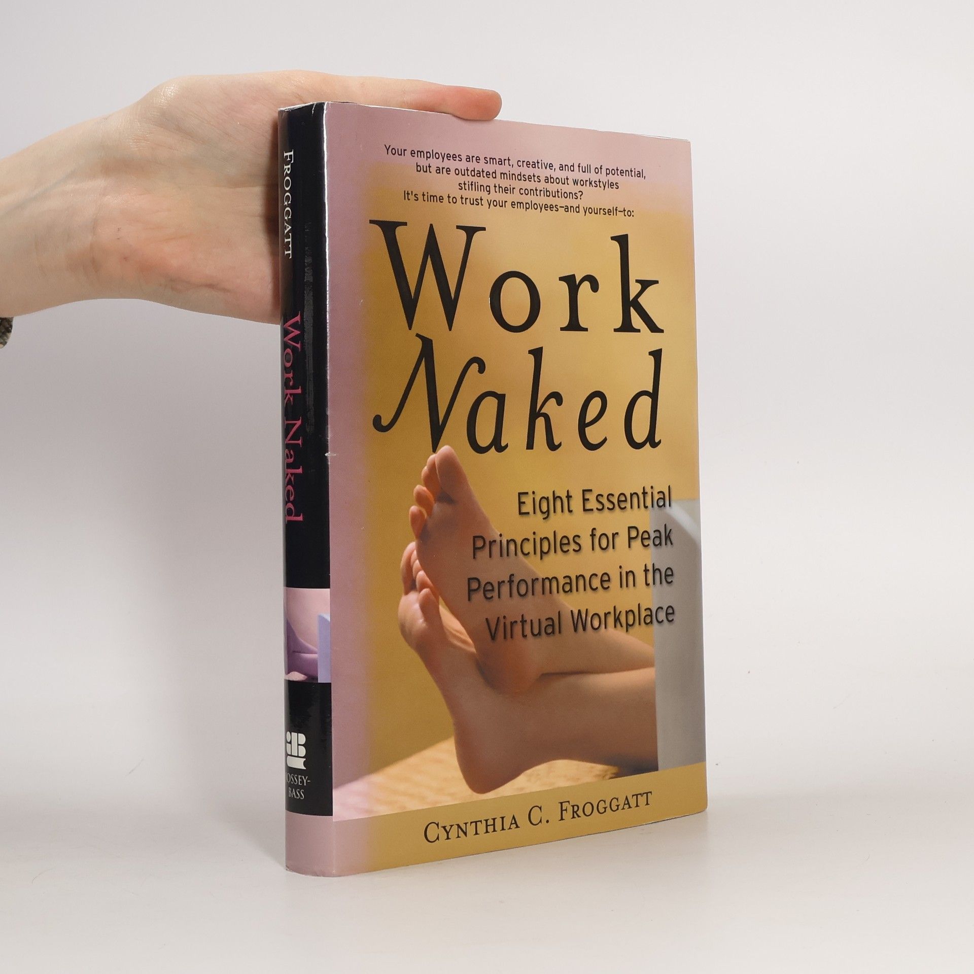 Cynthia C. Froggatt Work Naked