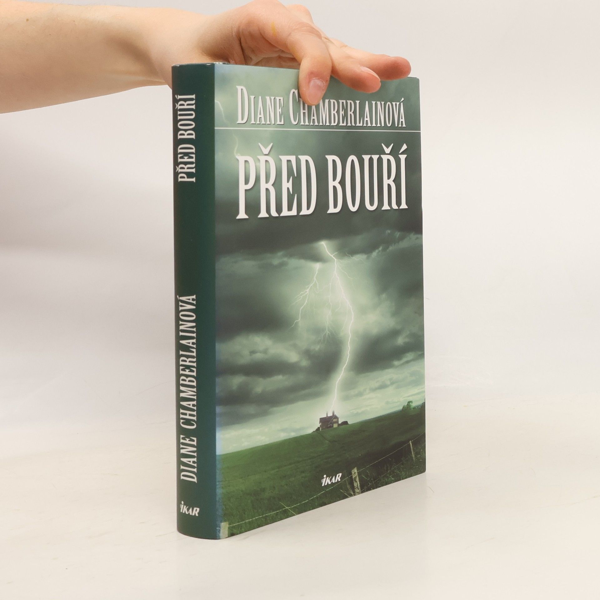 Diane Chamberlain Před bouří