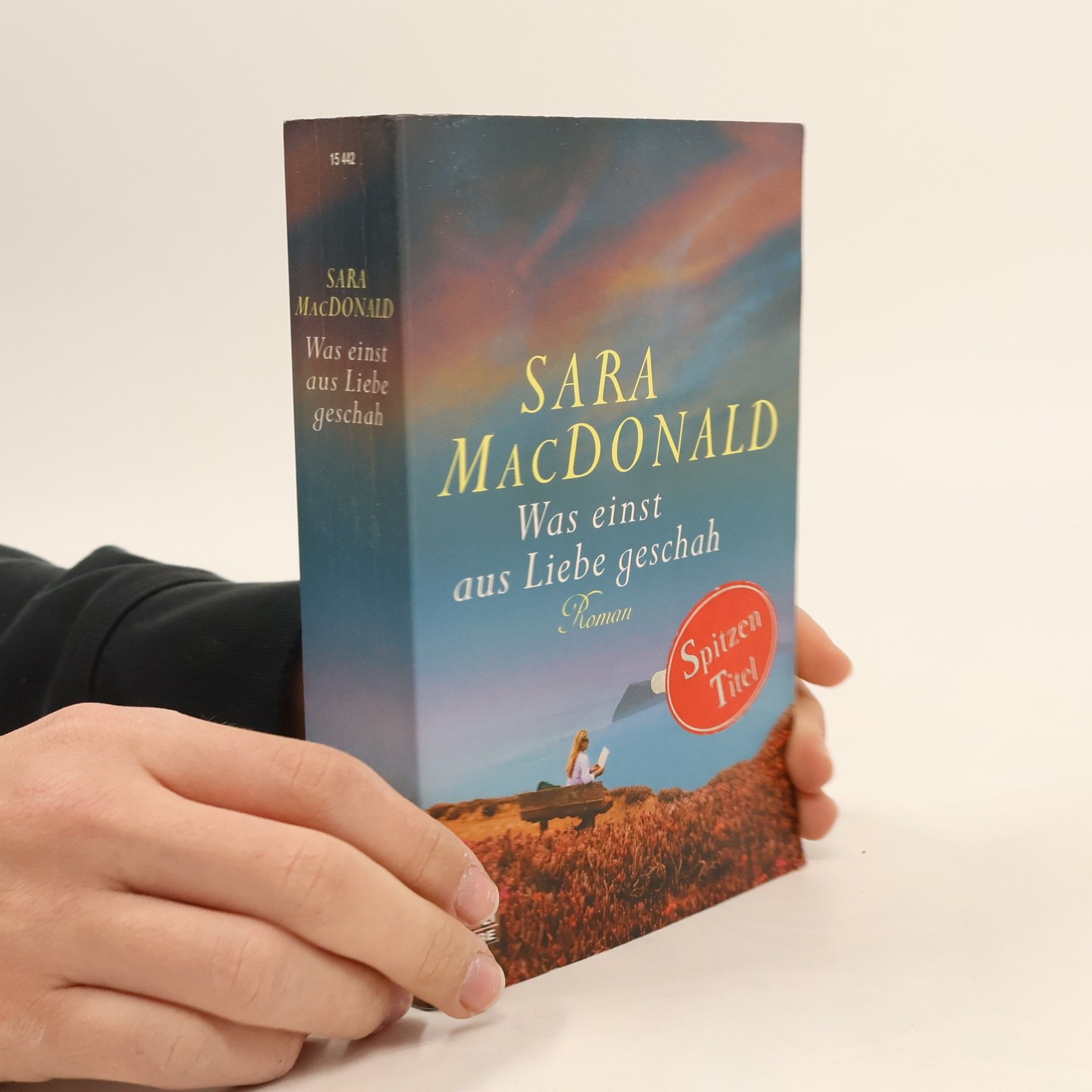 Sara MacDonald Was einst aus Liebe geschah