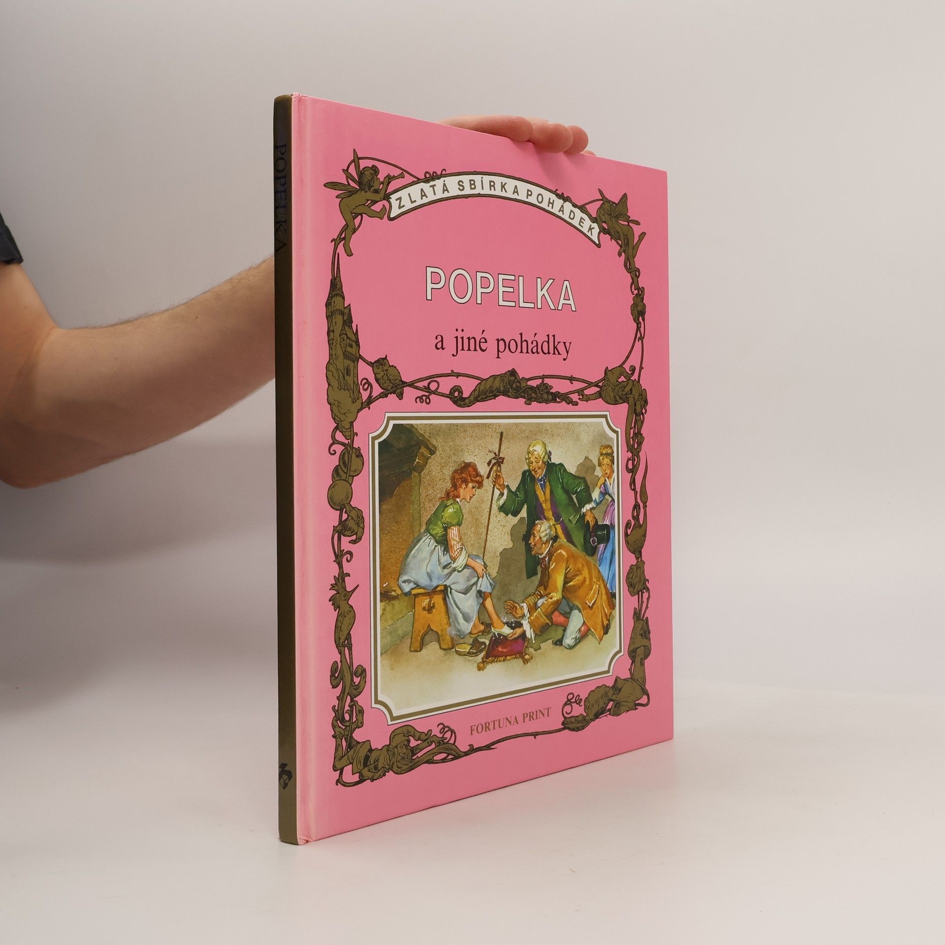 Václav Puchta Popelka a jiné pohádky
