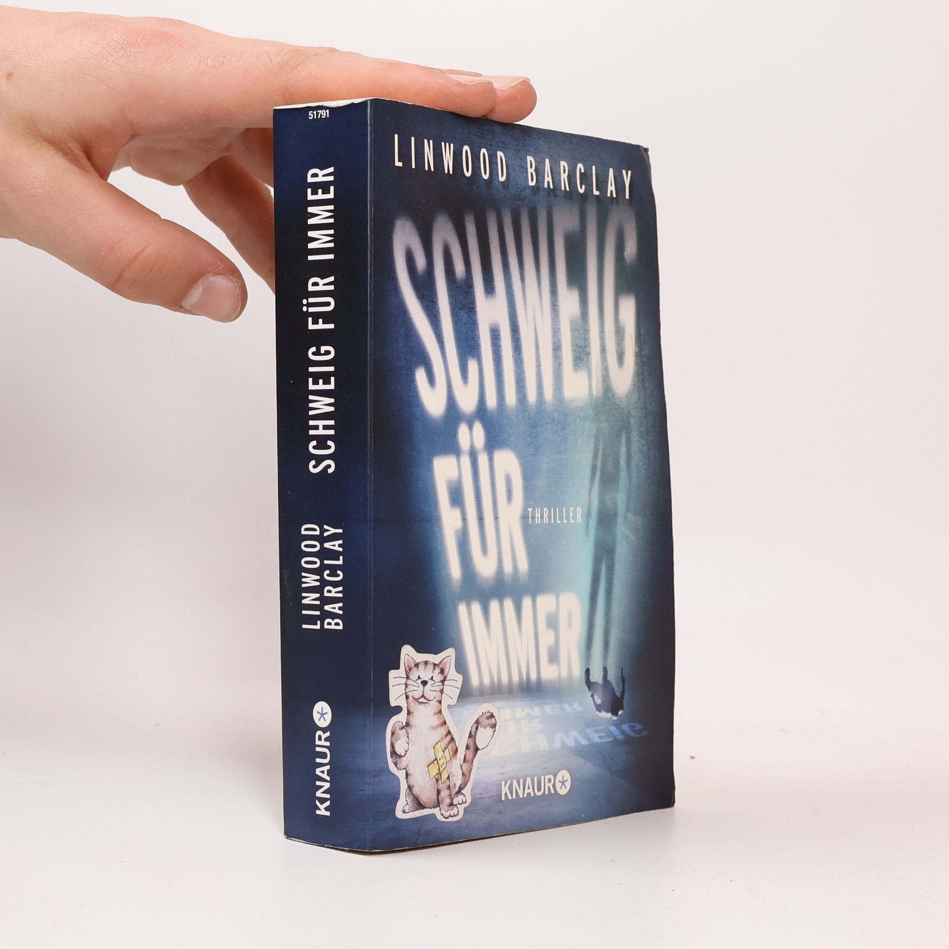 Linwood Barclay Schweig für immer
