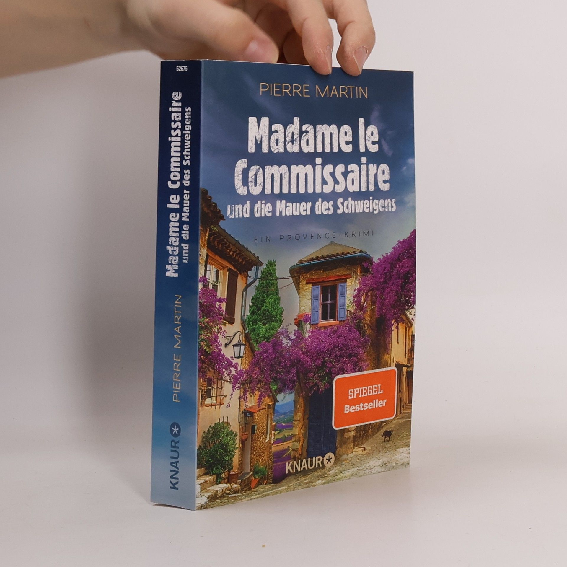 Pierre Martin Madame le Commissaire und die Mauer des Schweigens