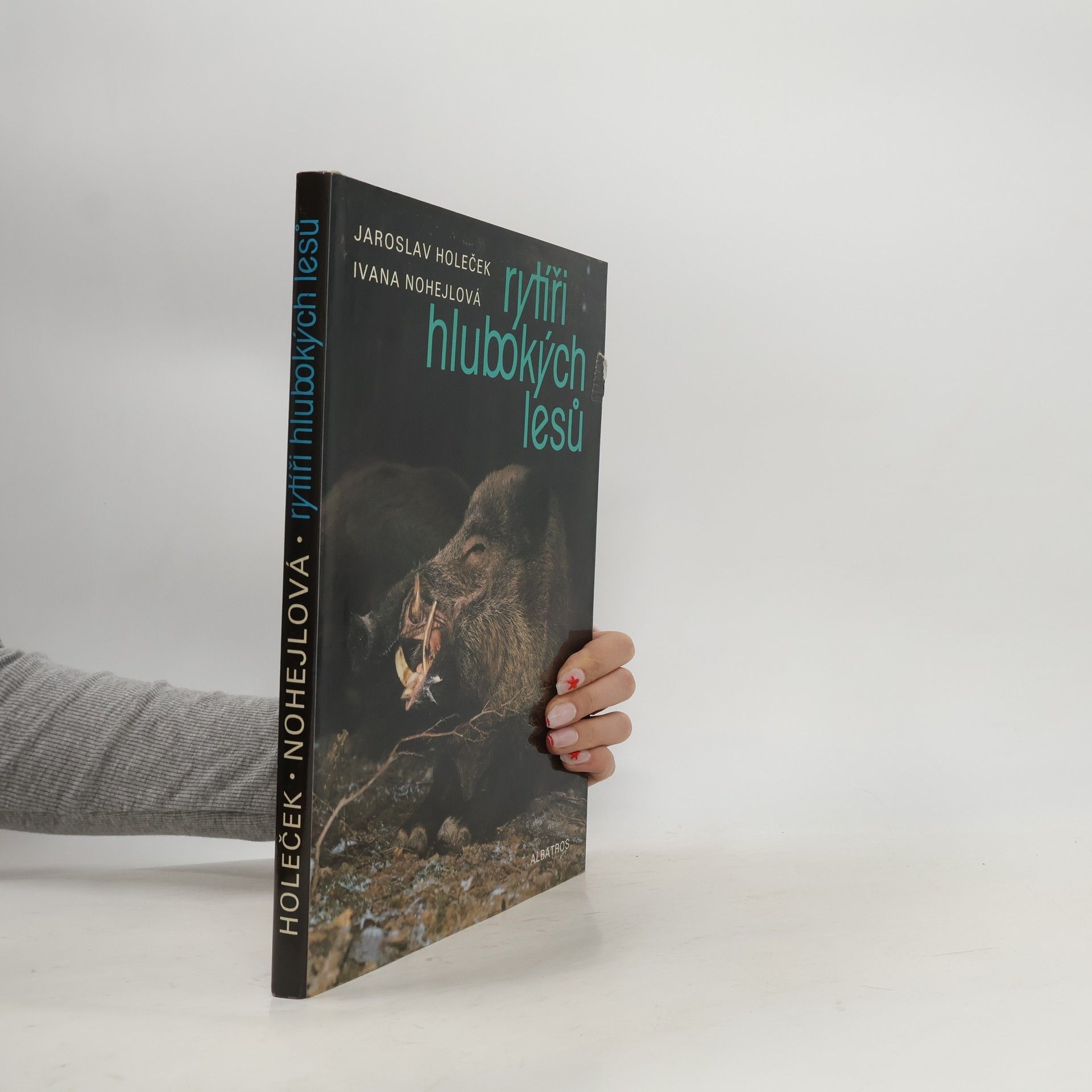 Ivana Nohejlová Rytíři hlubokých lesů