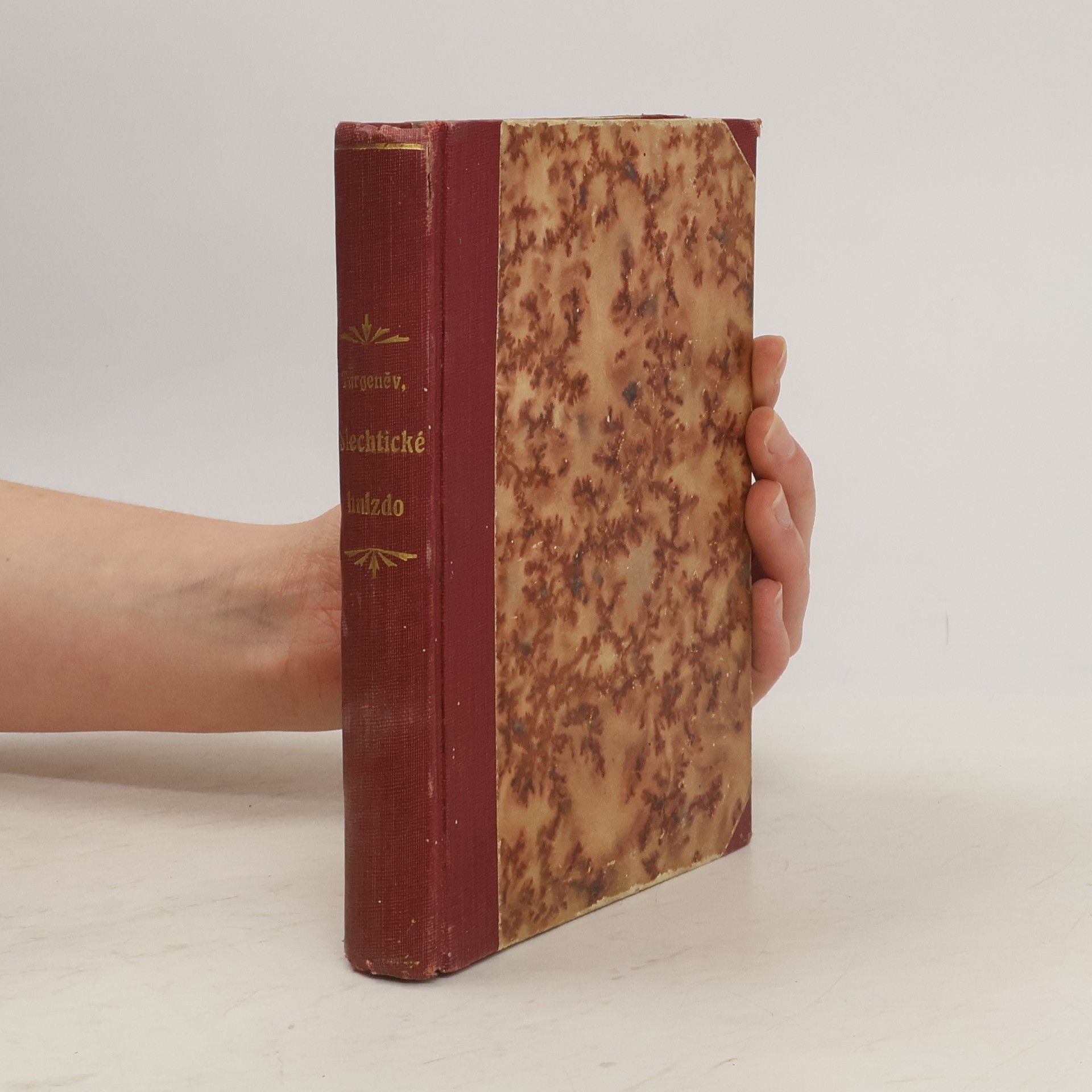 Ivan Turgenev Šlechtické hnízdo