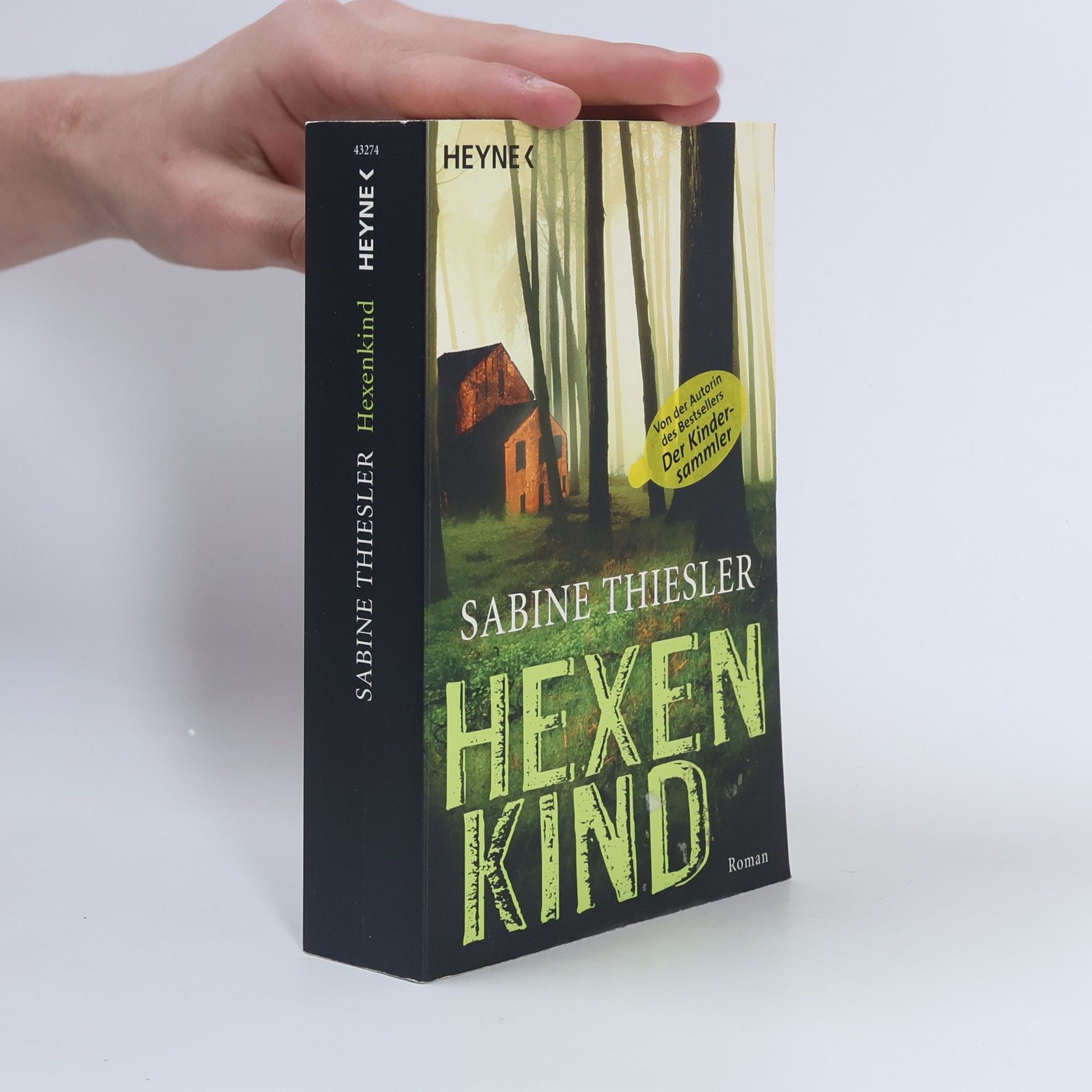 Sabine Thiesler Hexenkind - Roman