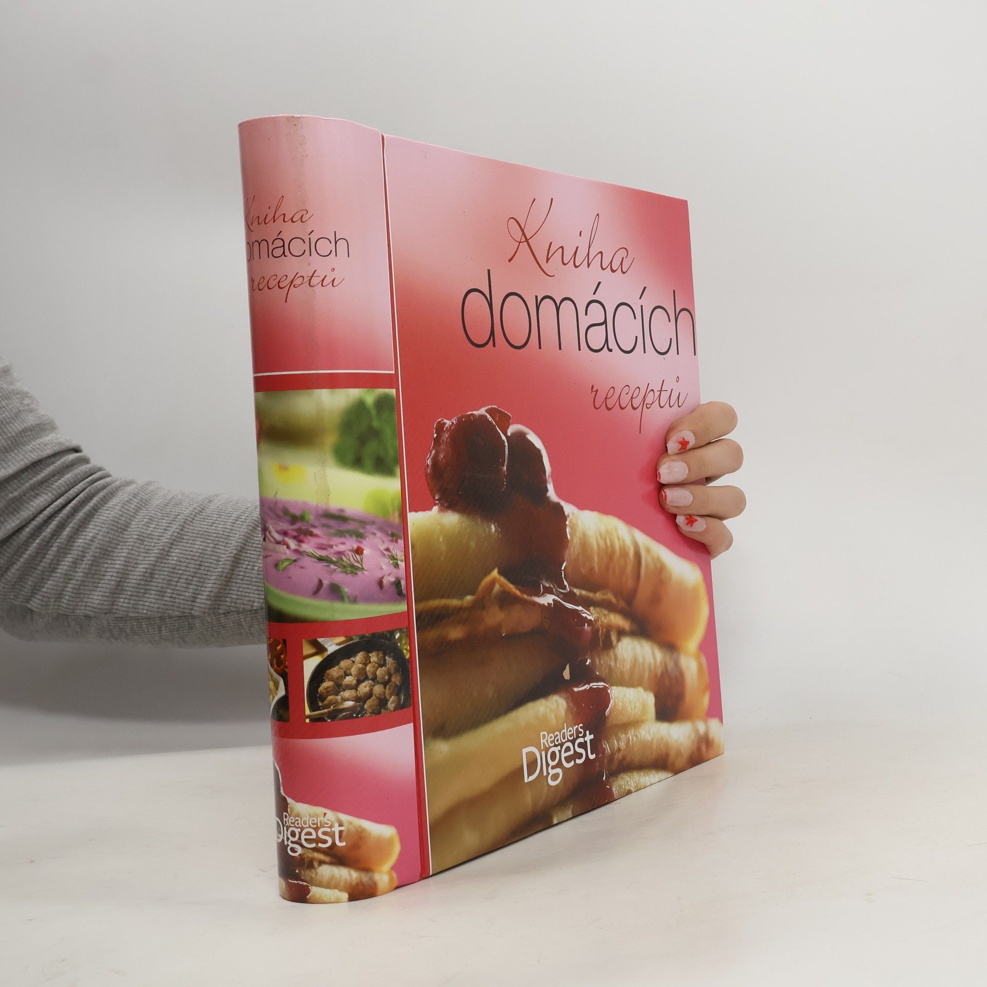 Collectif d'auteurs Kniha domácích receptů