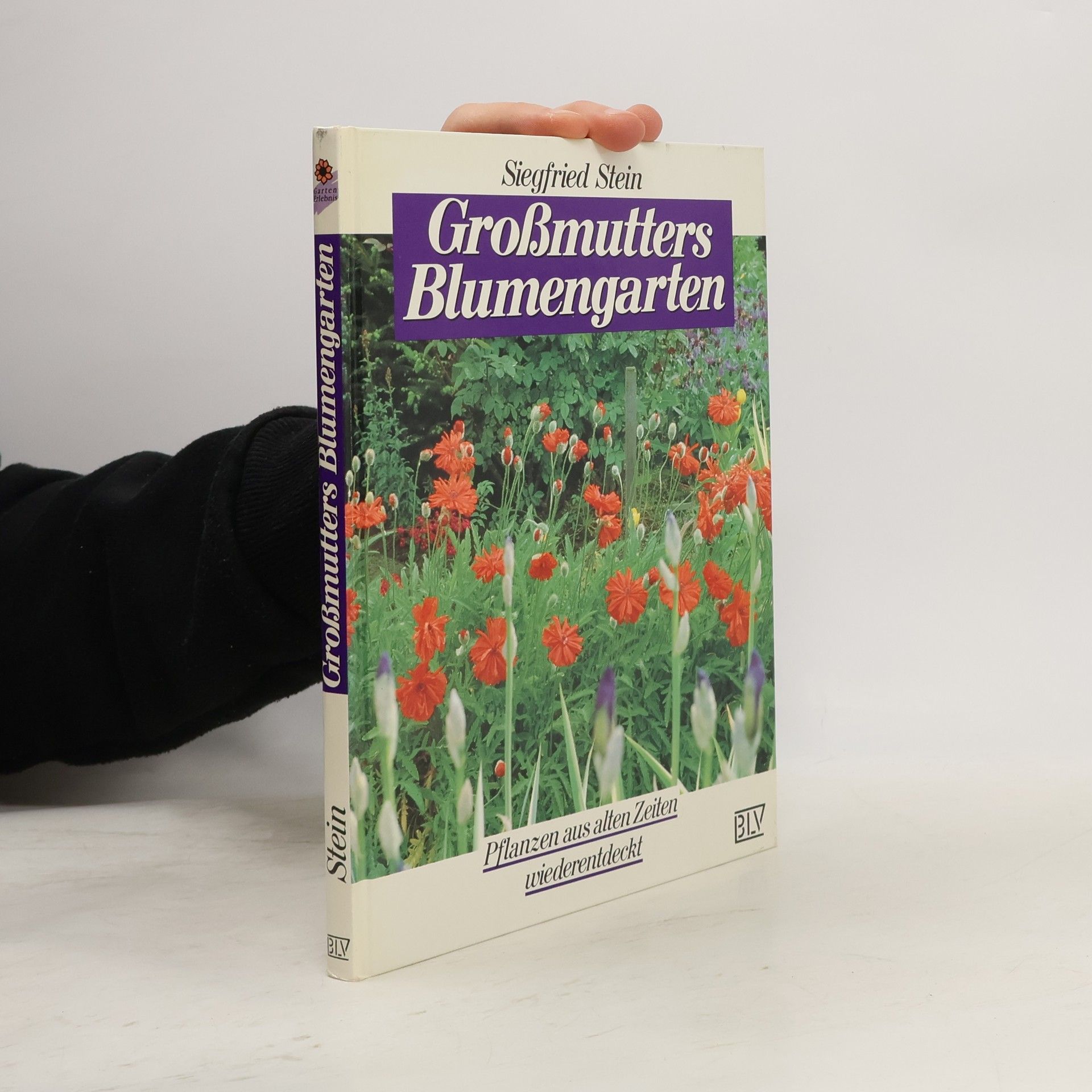 Siegfried Stein Grossmutters Blumengarten