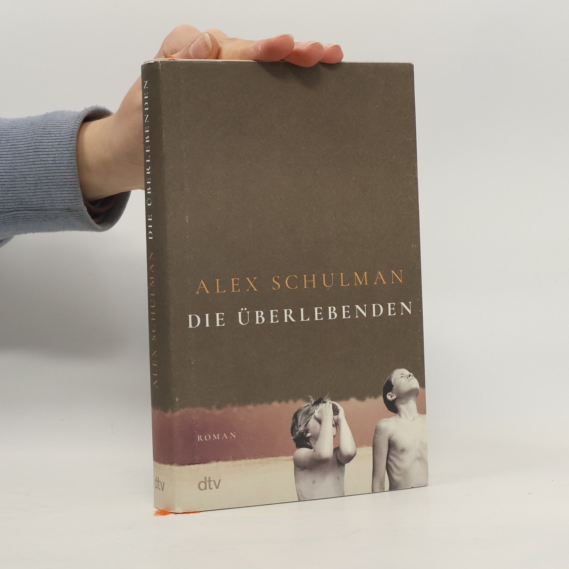 Alex Schulman Die Überlebenden