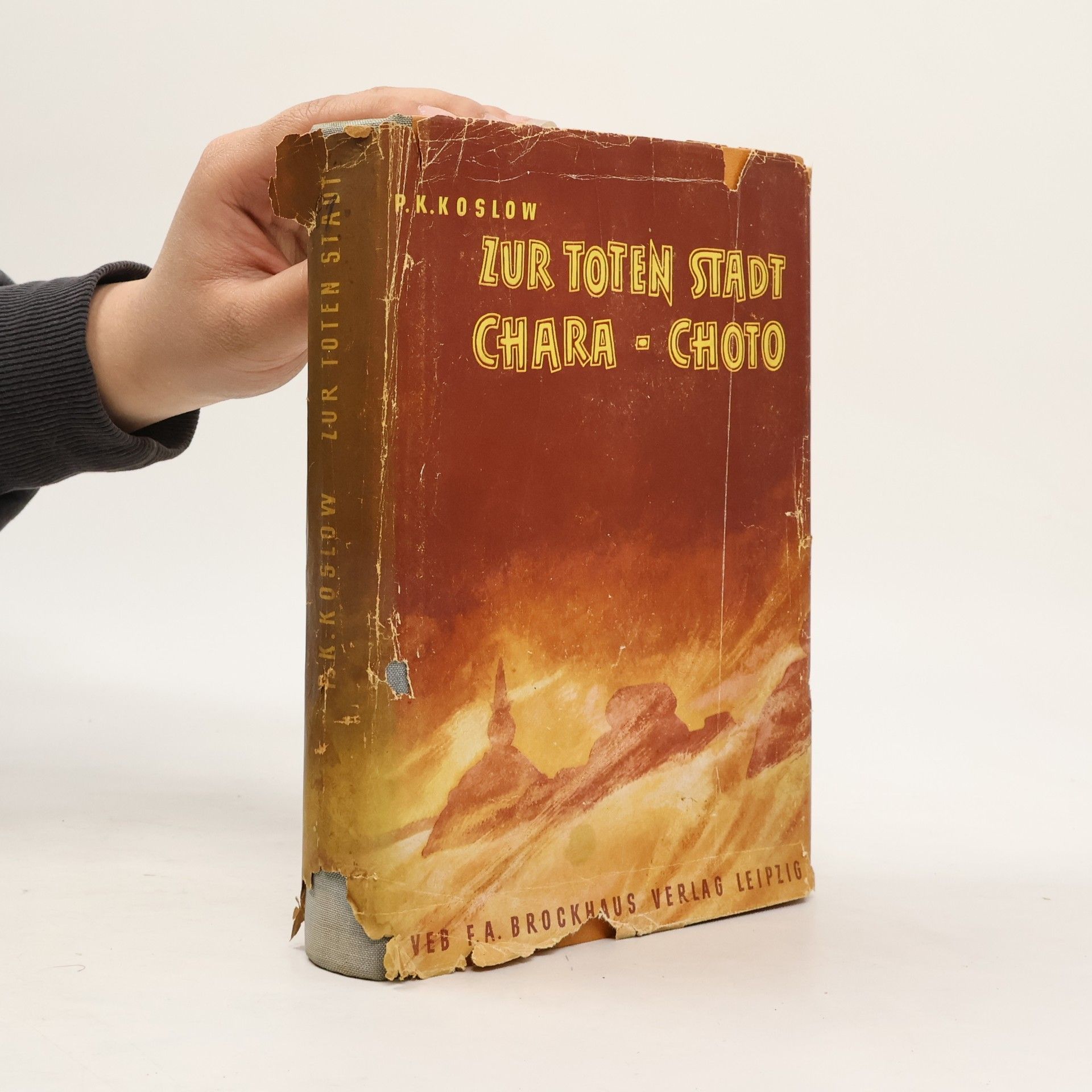 P. K. Kozlov Zur toten Stadt. Chara-Choto