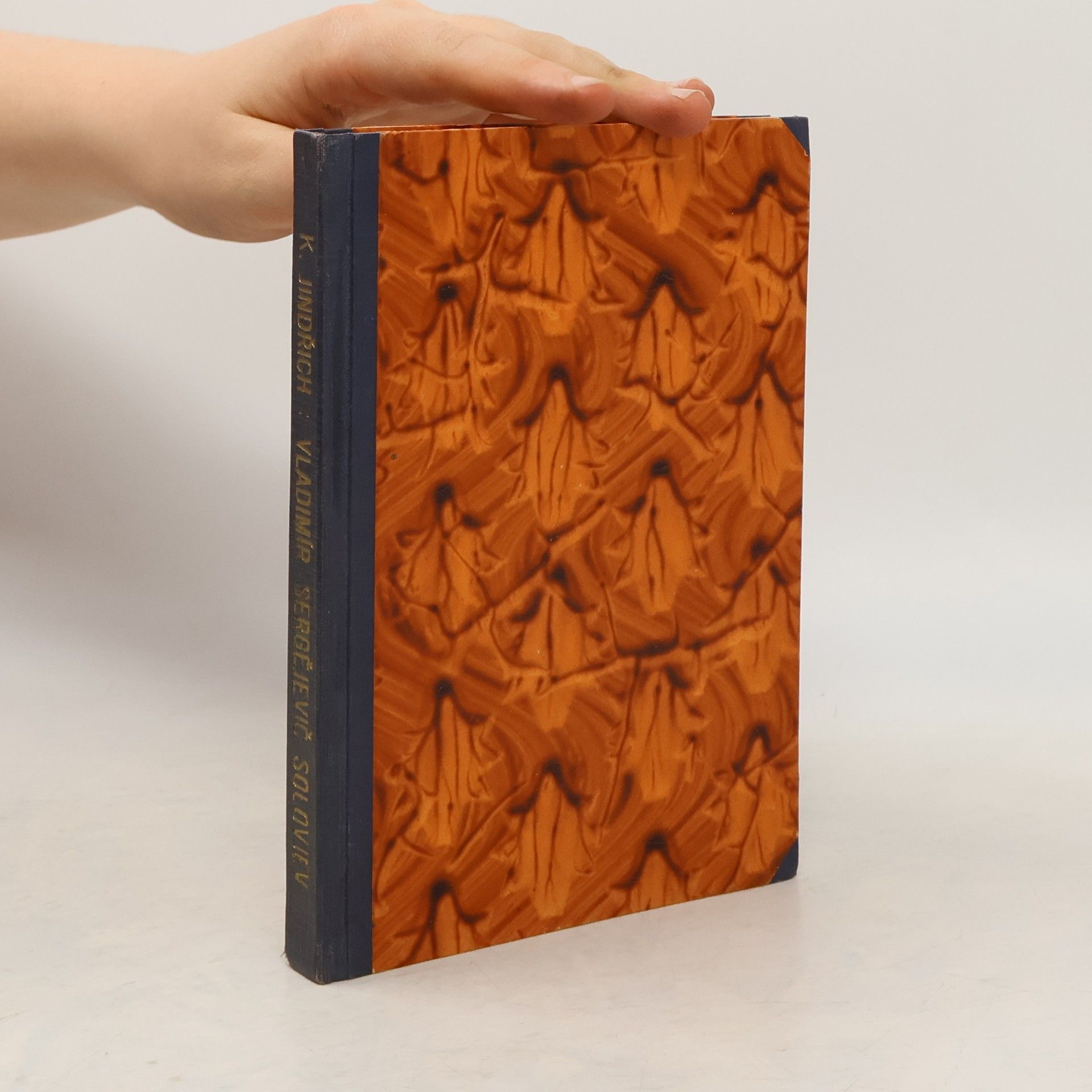 Karel Jindřich Vladimír Sergejevič Solovjev. Jeho život a působení