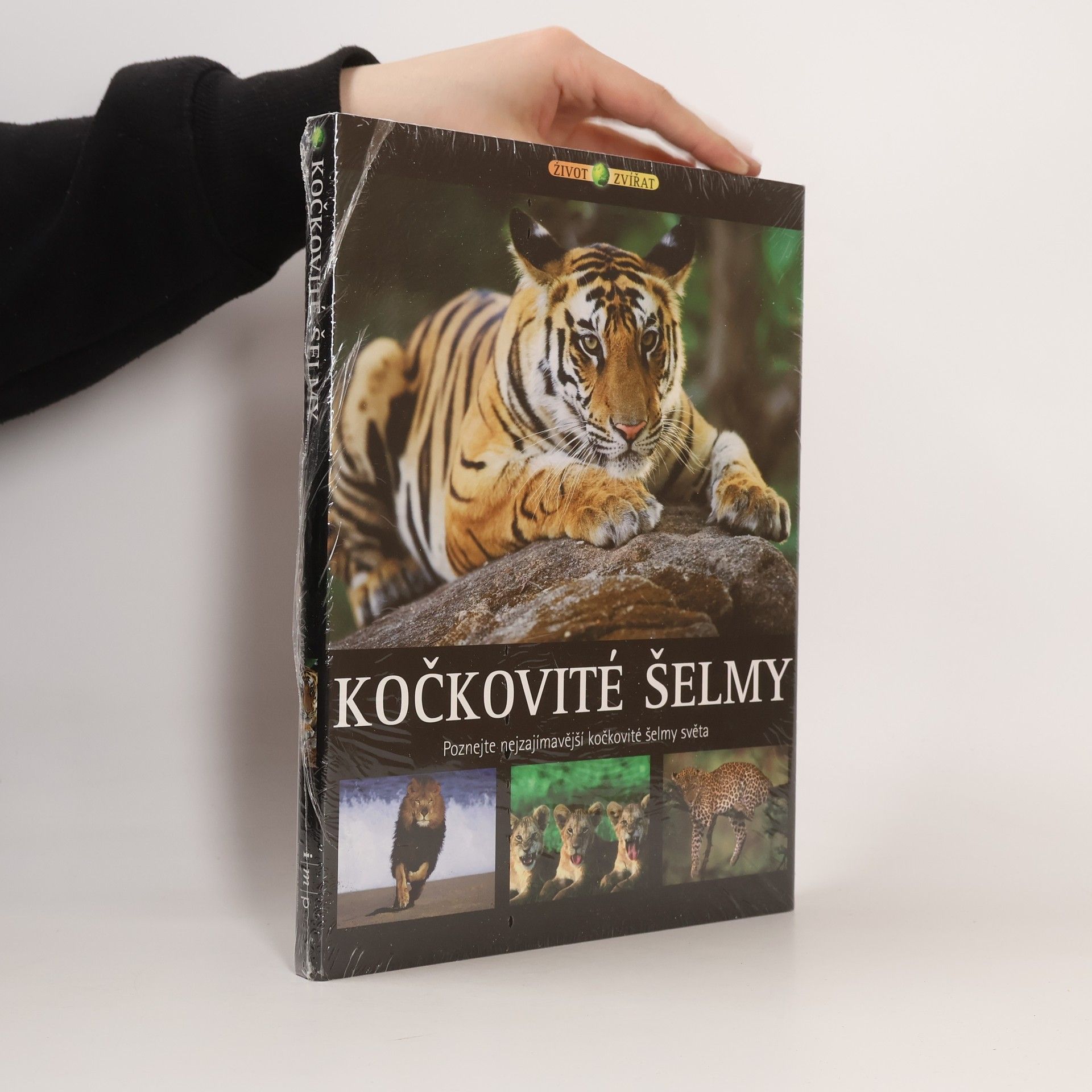Kočkovité šelmy