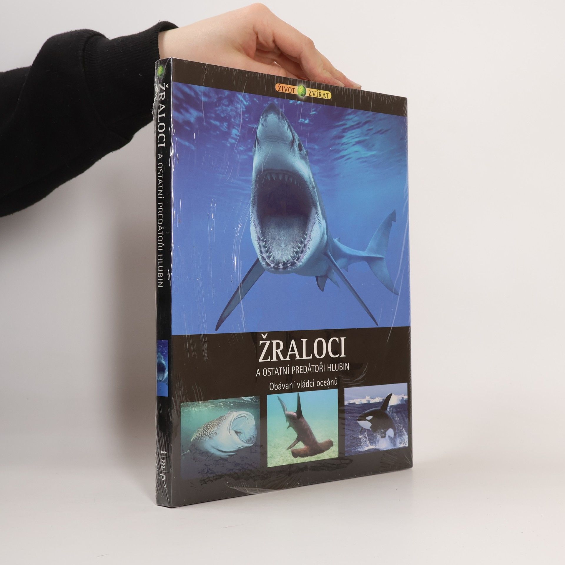 Michael Fokt Žraloci a ostatní predátoři hlubin