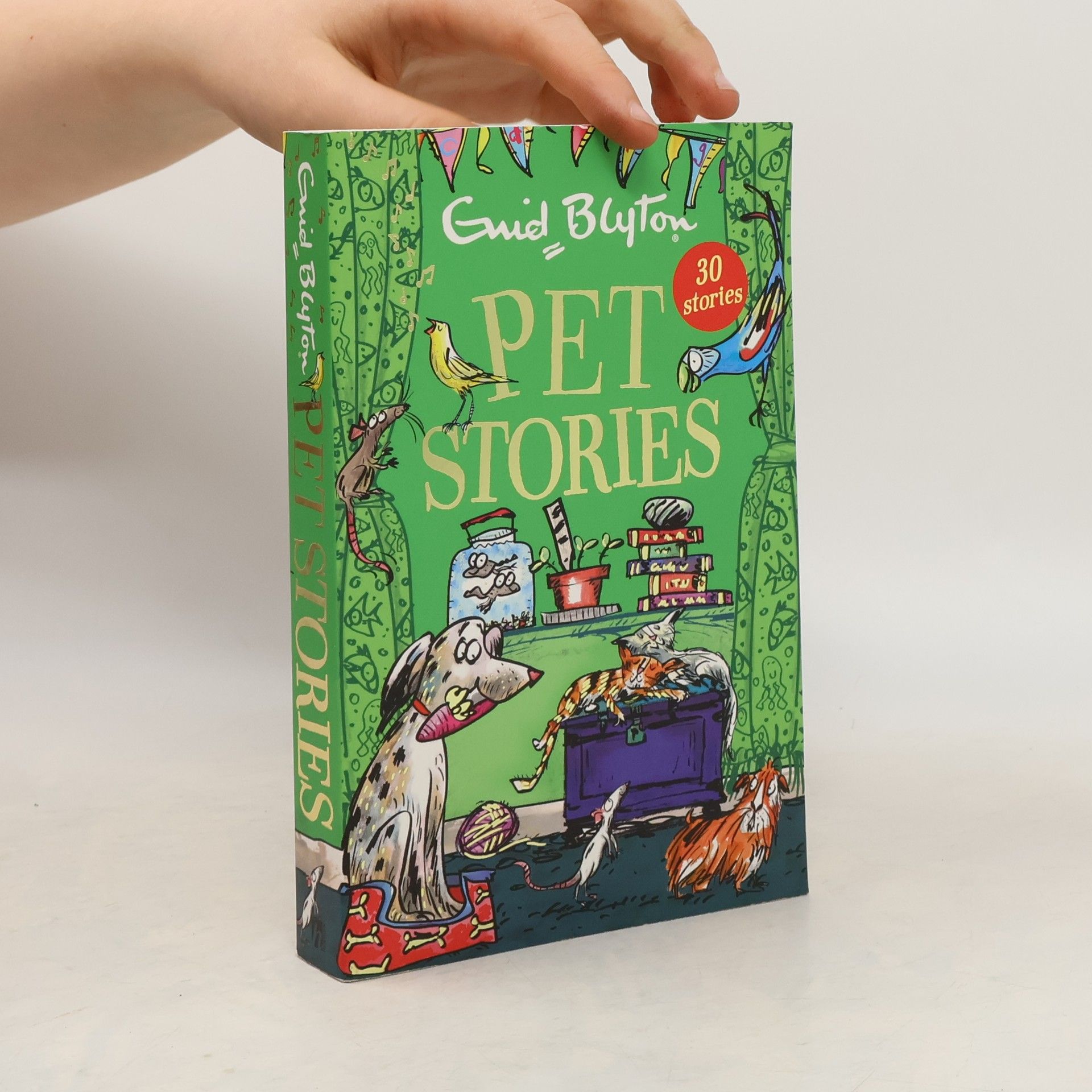 Enid Blyton Pet Stories