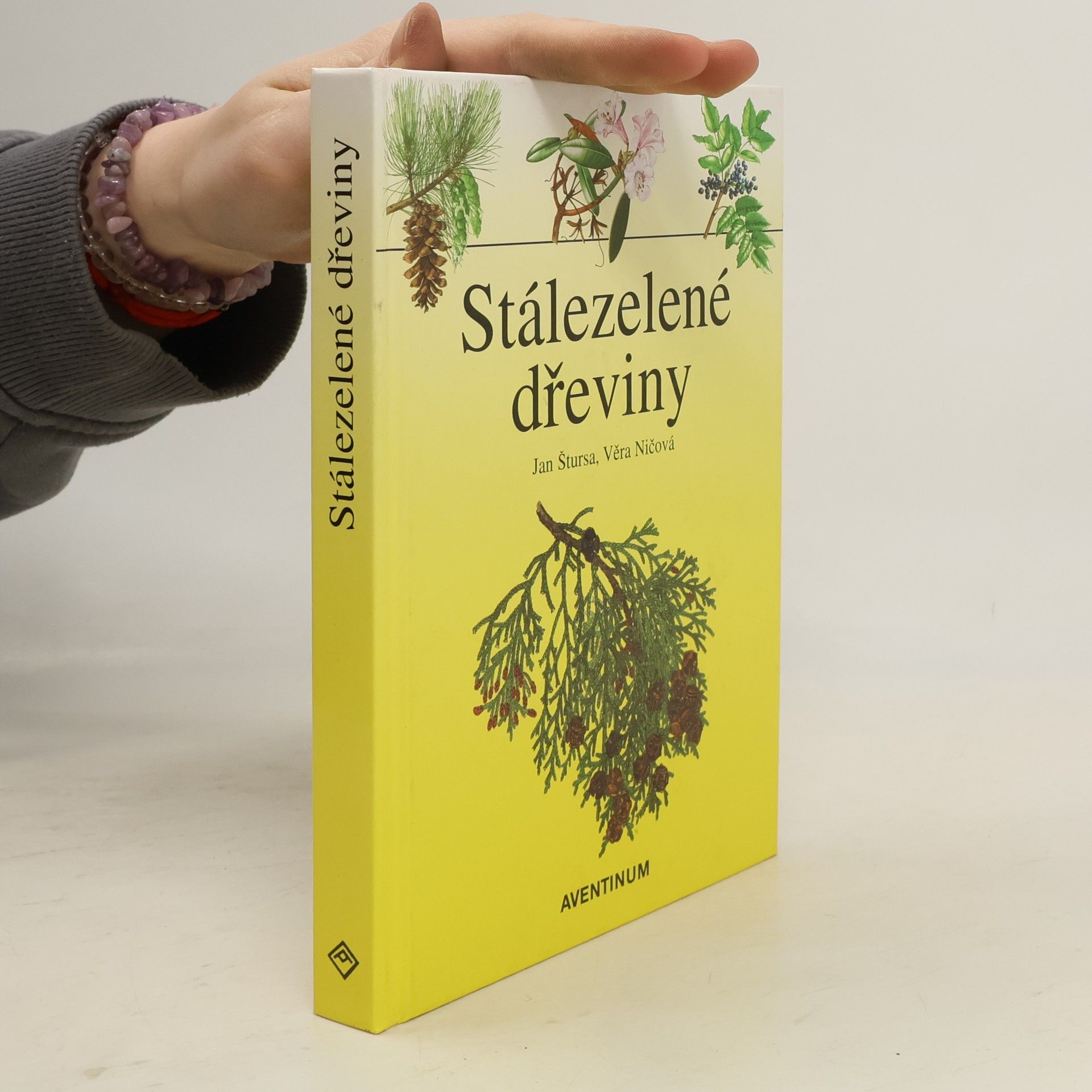 Jan Štursa Stálezelené dřeviny