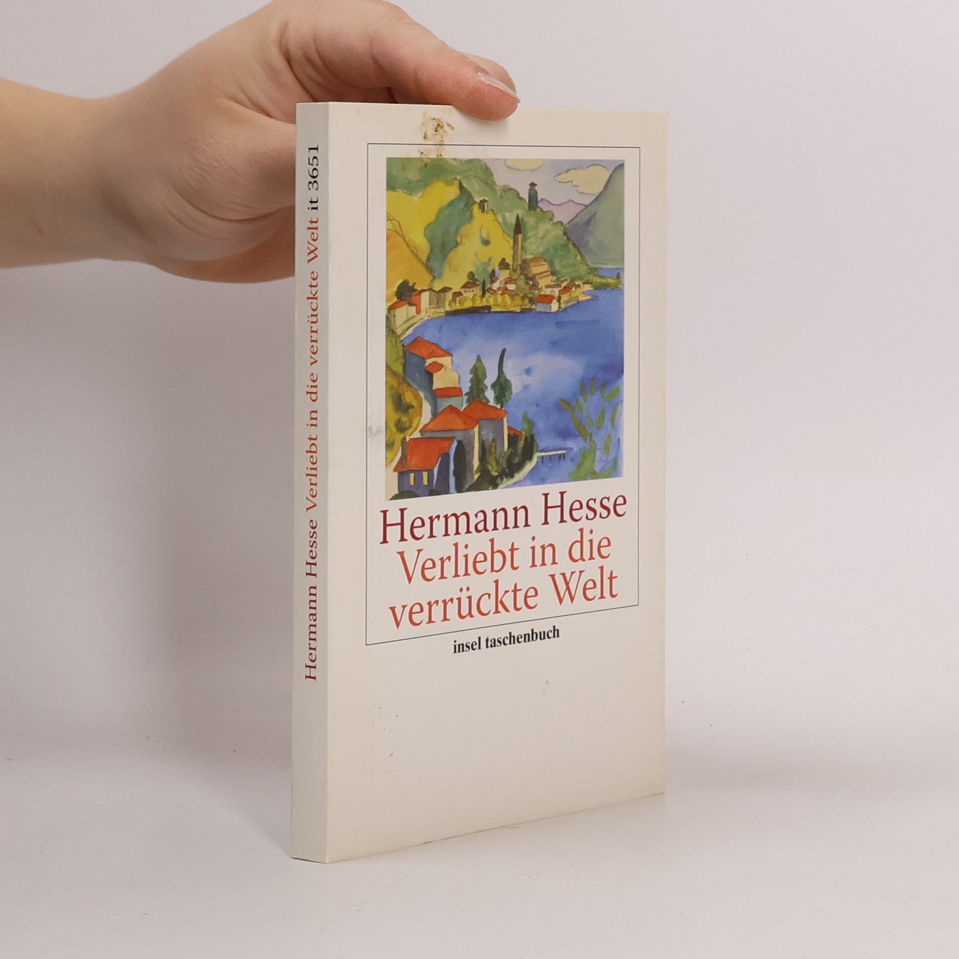 Hermann Hesse Verliebt in die verrückte Welt