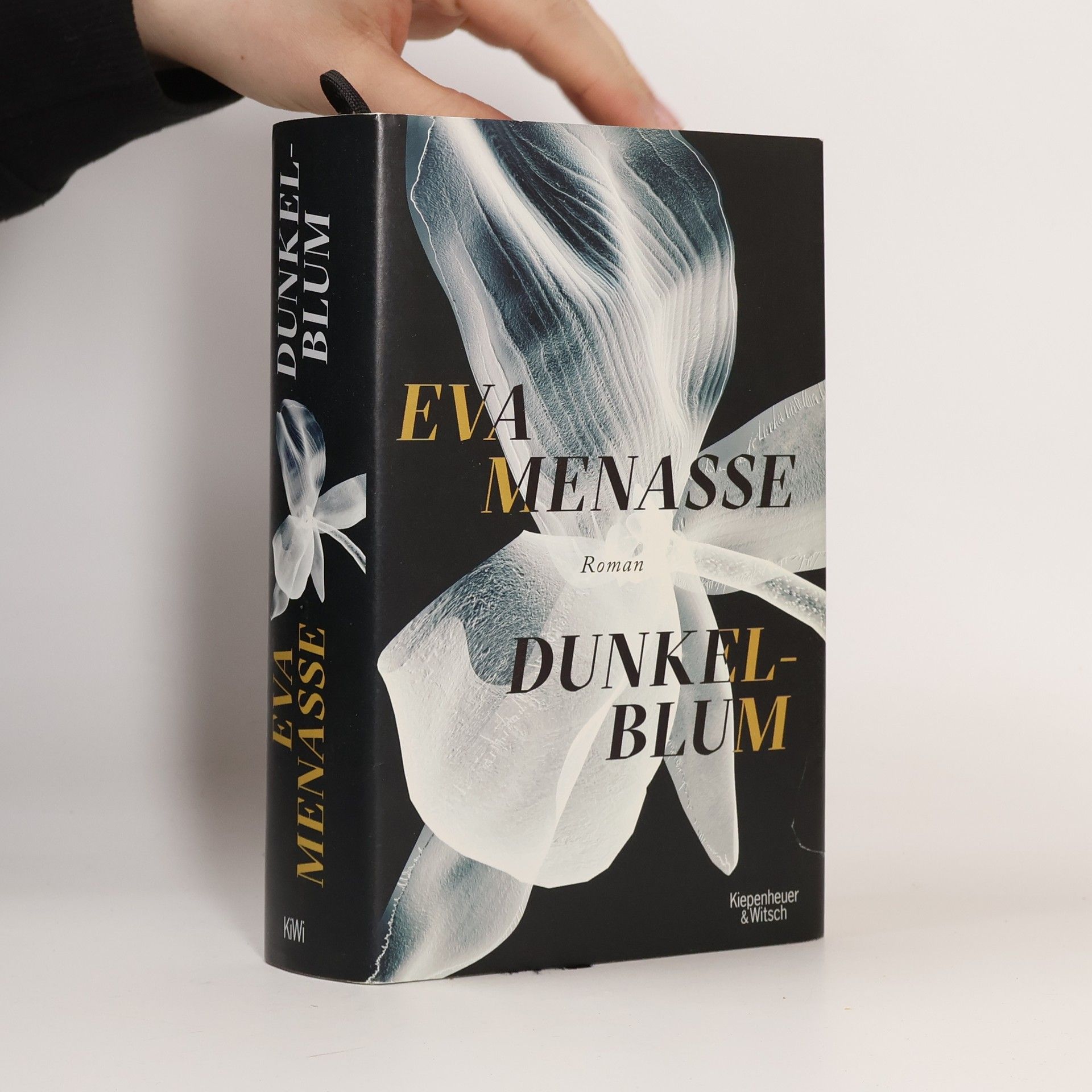 Eva Menasse Dunkelblum