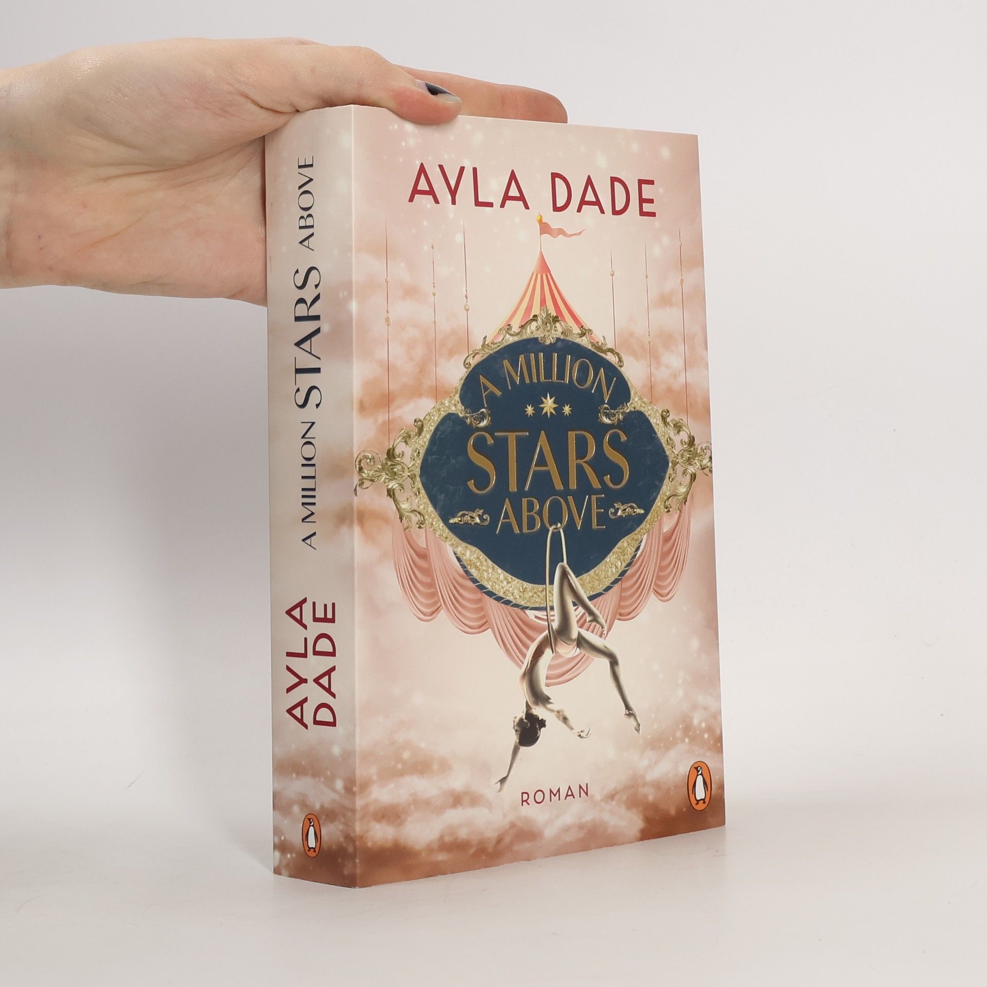 Ayla Dade A Million Stars Above / Sky Circus Bd.1