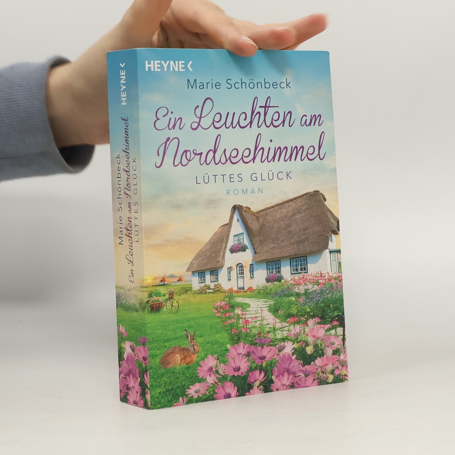 Marie Schönbeck Lüttes Glück - Ein Leuchten am Nordseehimmel