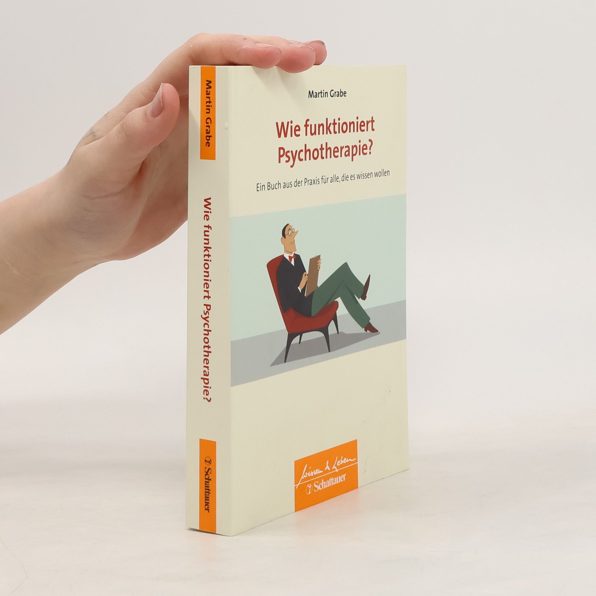 Martin Grabe Wie funktioniert Psychotherapie?
