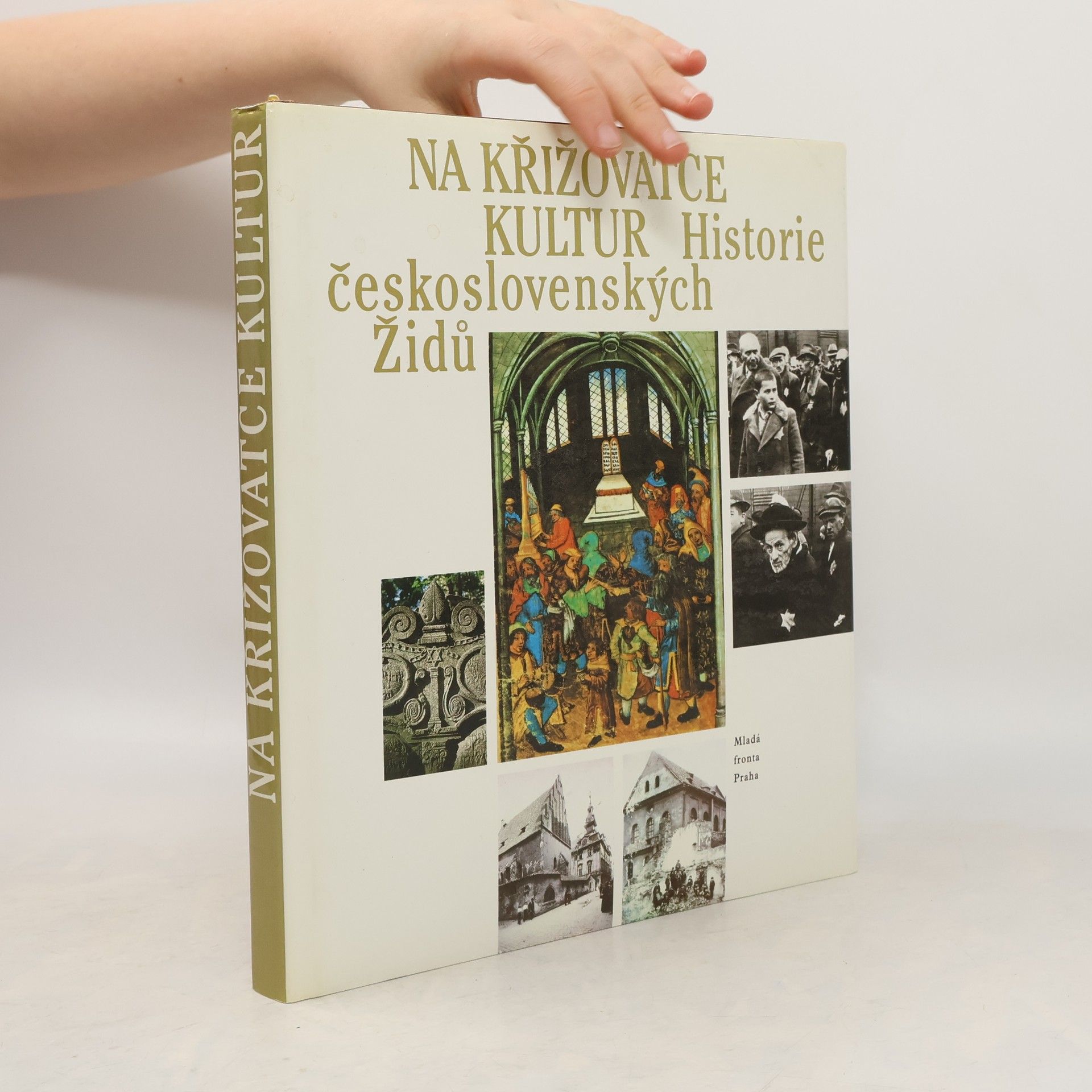 Autorenkollektiv Na křižovatce kultur: Historie československých Židů