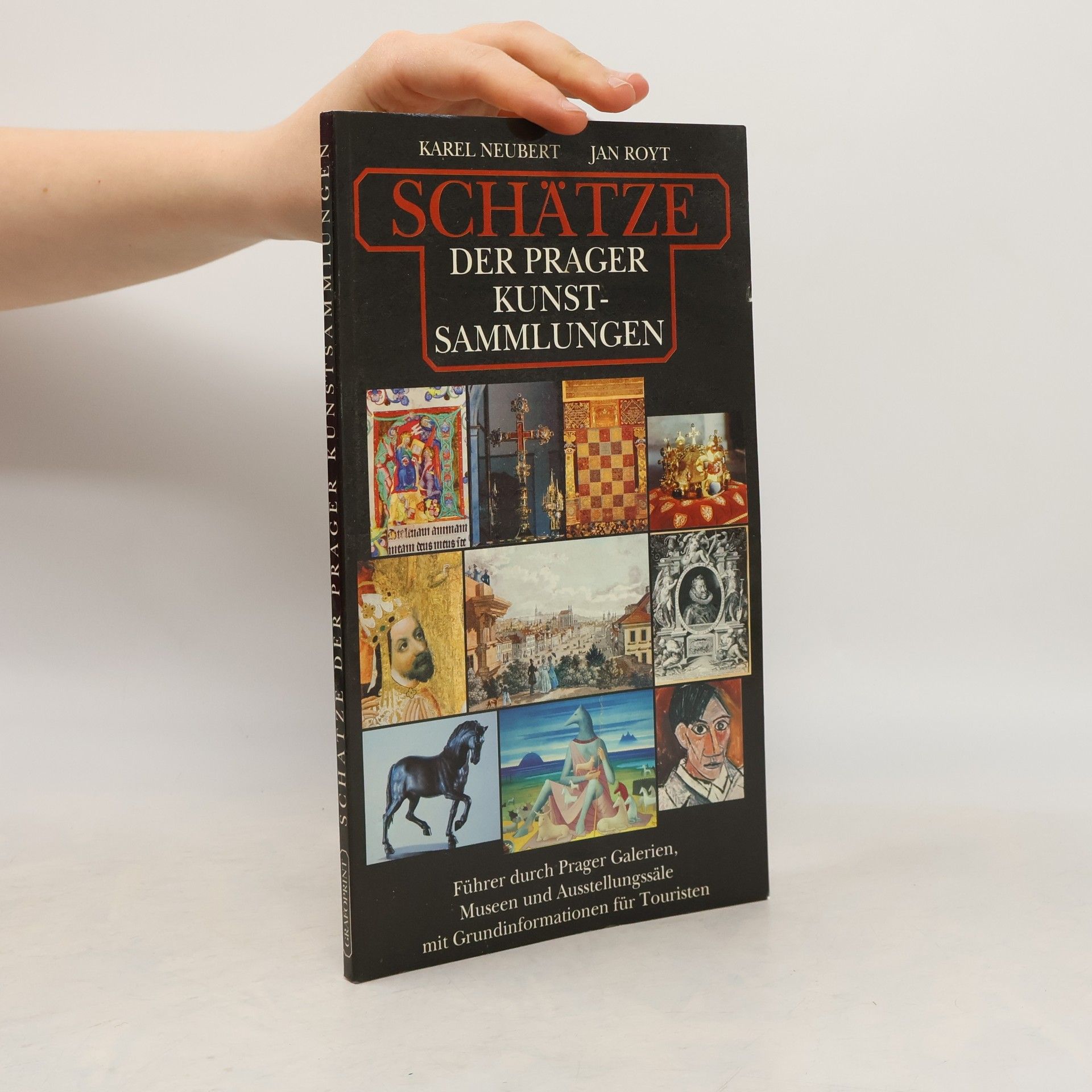 Karel Neubert Schätze der Prager Kunstsammlungen