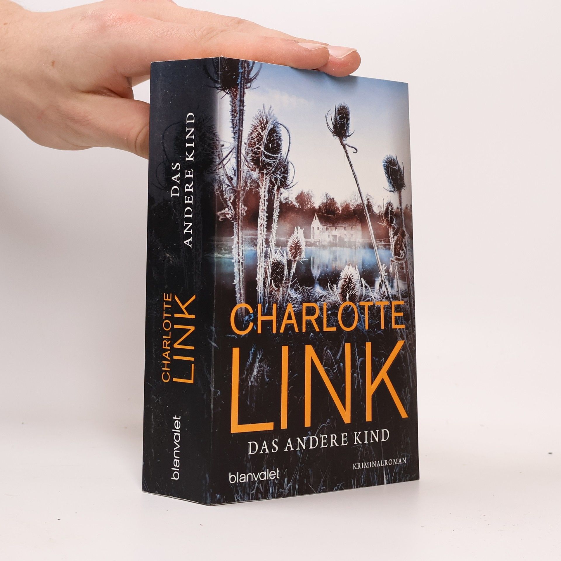 Charlotte Link Das andere Kind