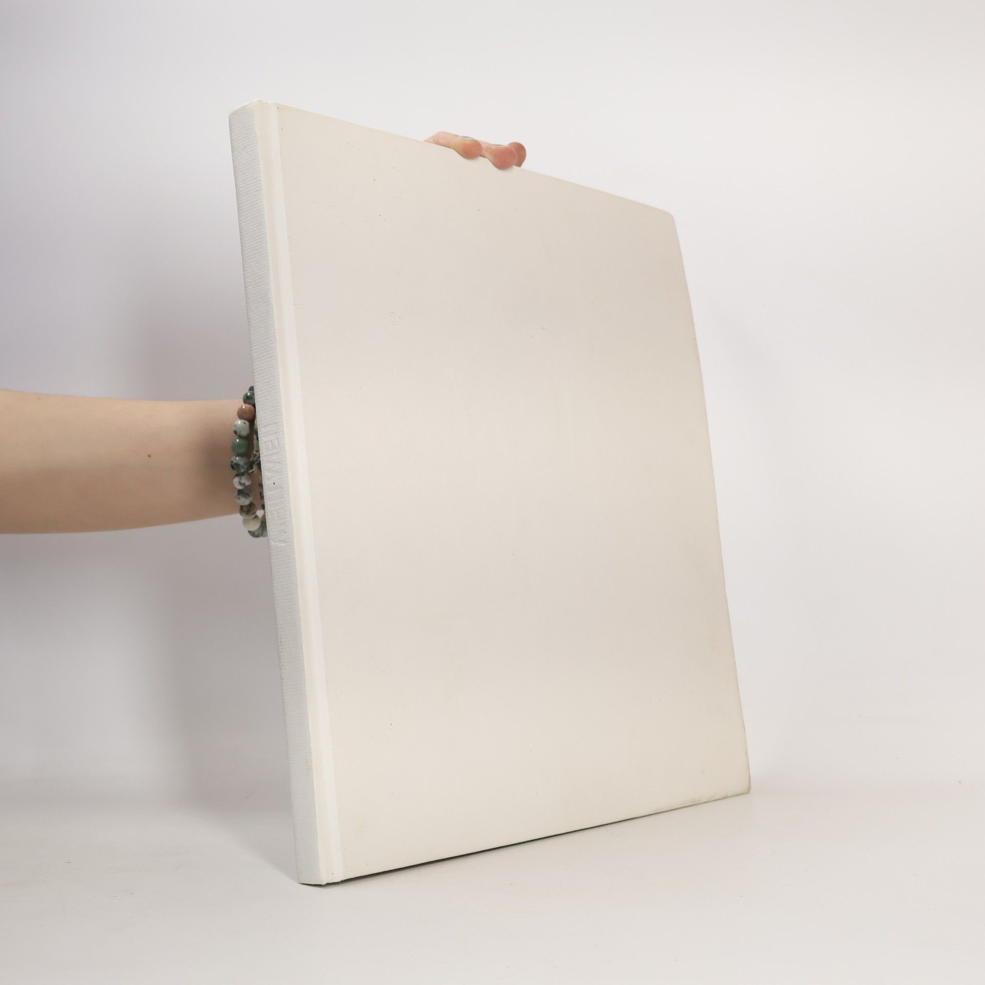 Kolektiv autorů Mein Wien