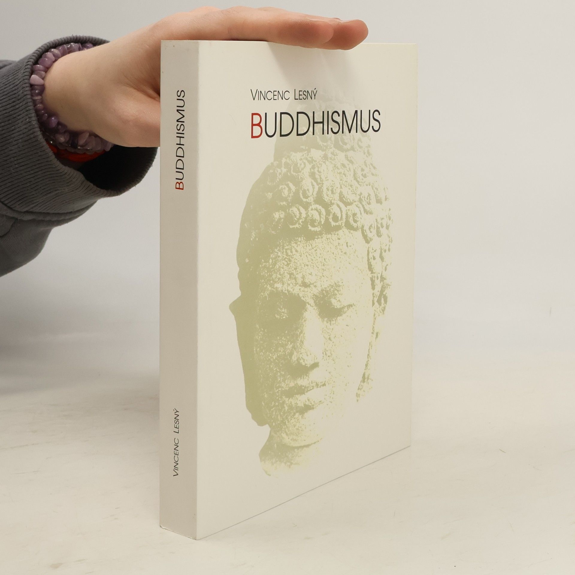 Vincenc Lesný Buddhismus