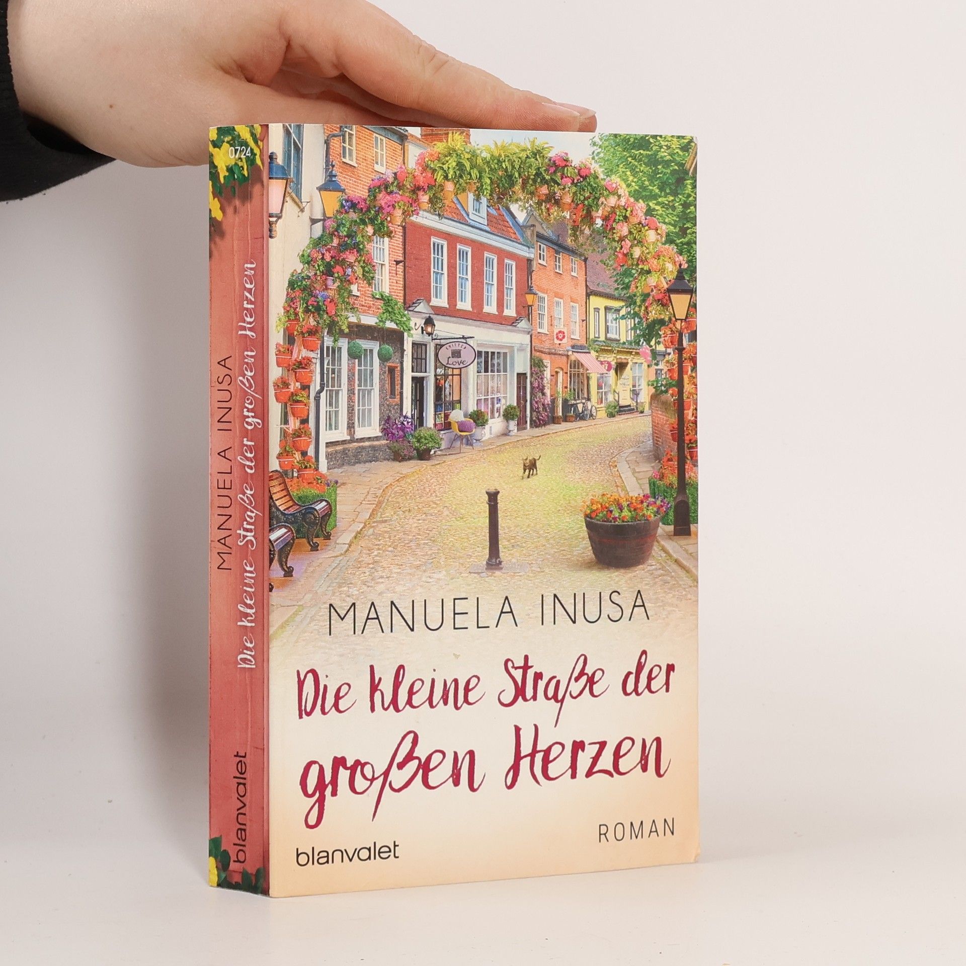 Manuela Inusa Die kleine Straße der großen Herzen