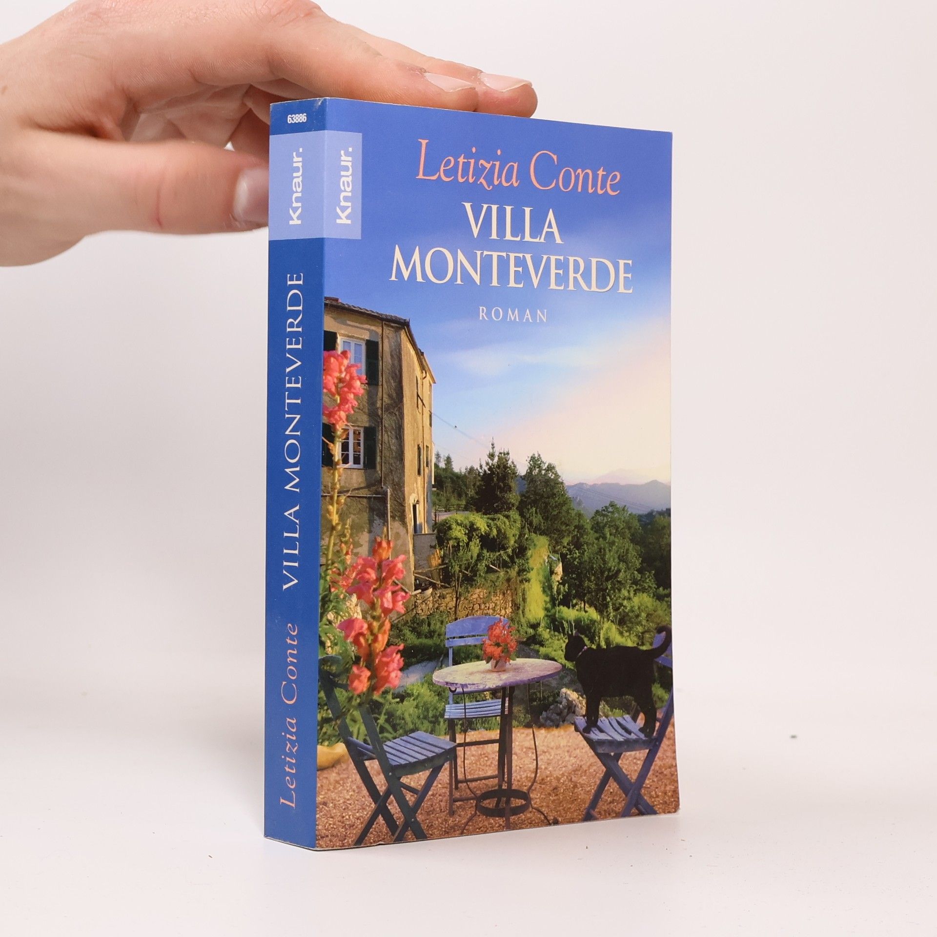 Letizia Conte Villa Monteverde