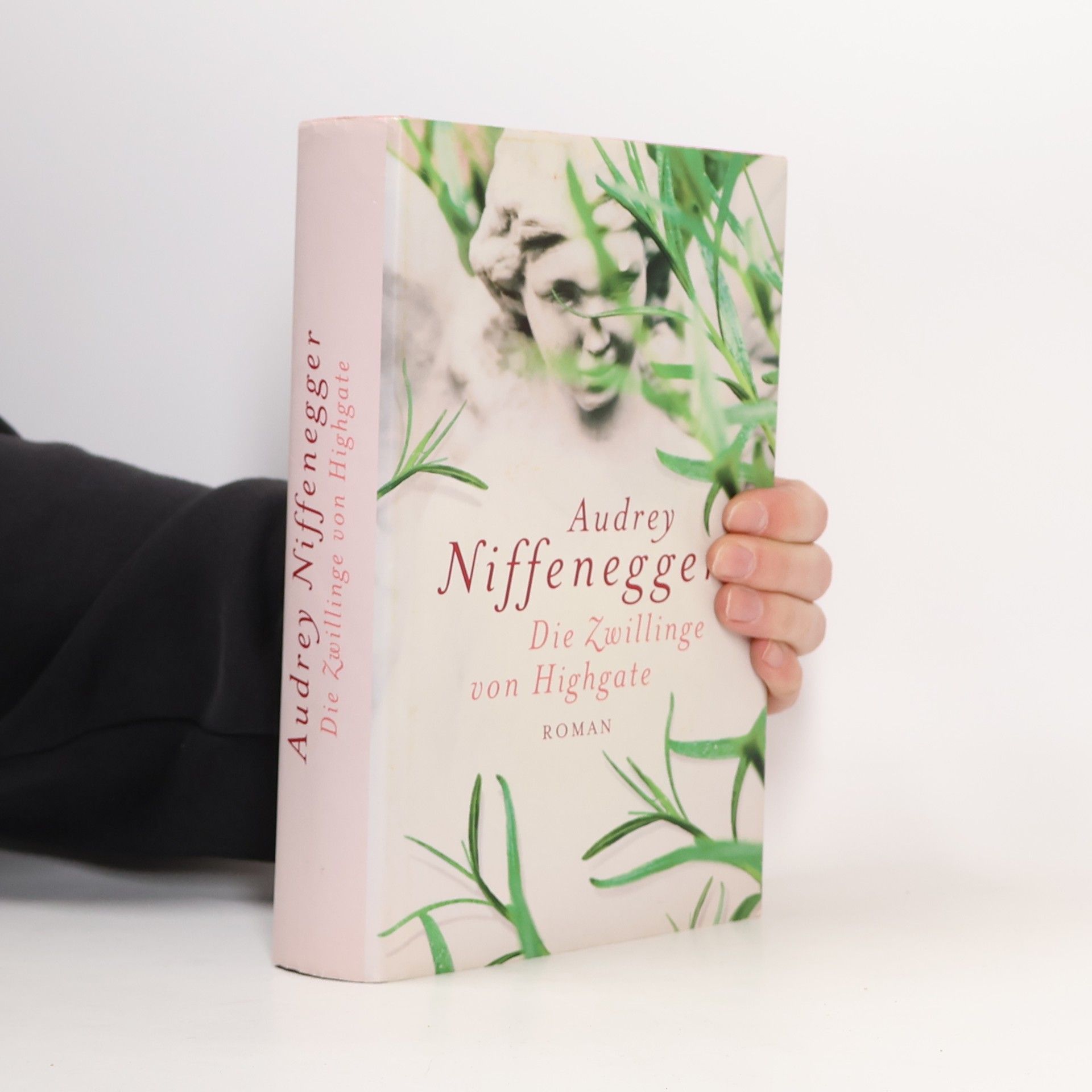 Audrey Niffenegger Die Zwillinge von Highgate