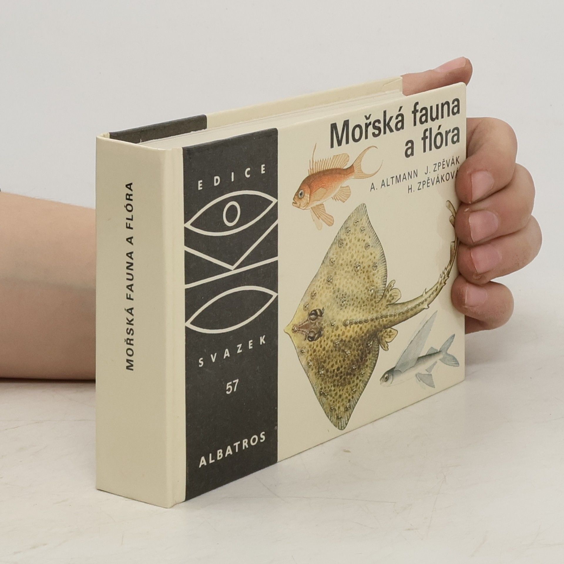 Antonín Altmann Mořská fauna a flóra