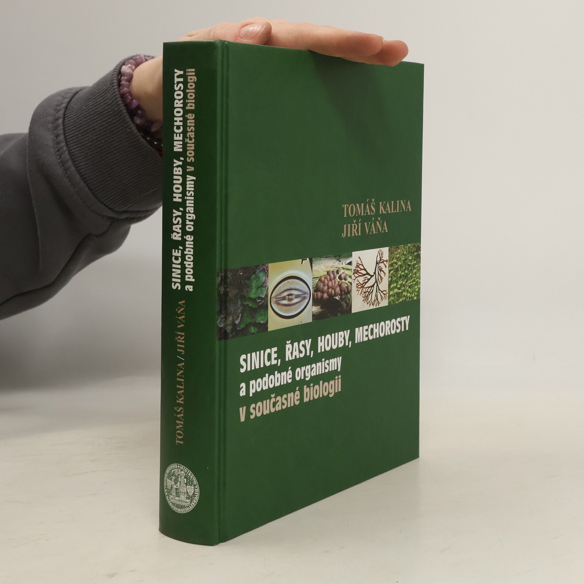 Sinice, řasy, houby, mechorosty a podobné organismy v současné biologii