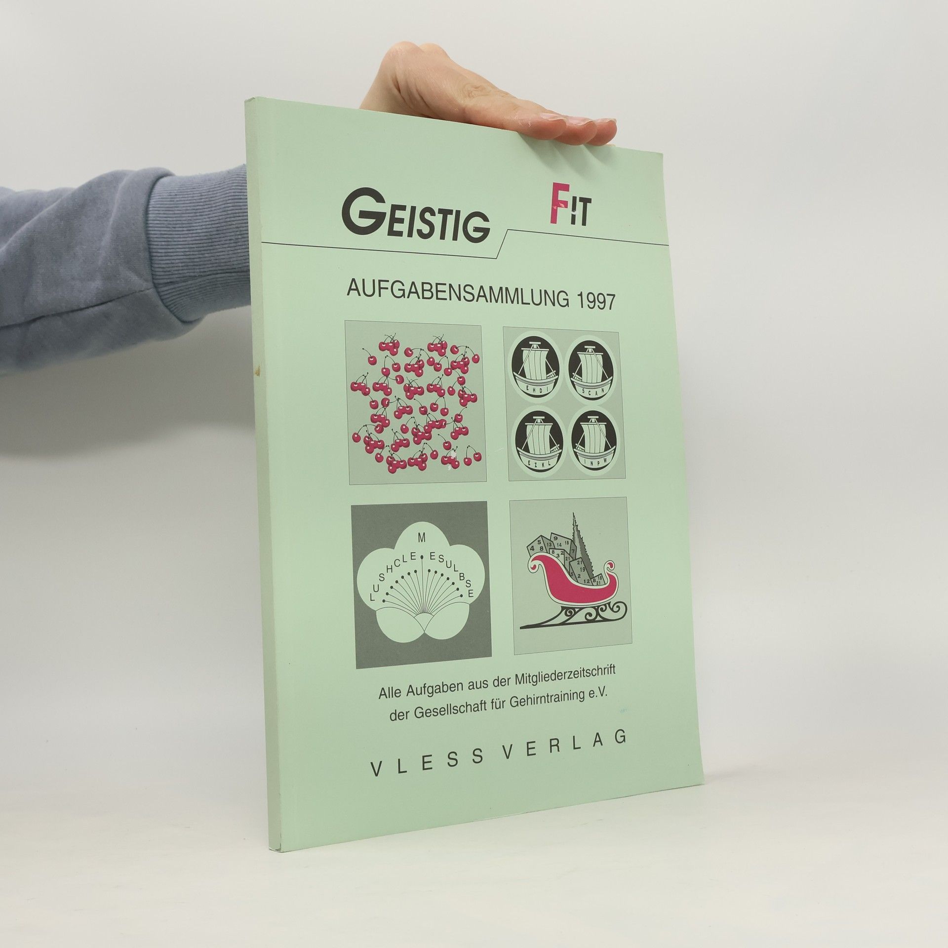 Friederike Sturm Geistig Fit. Aufgabensammlung 1997.