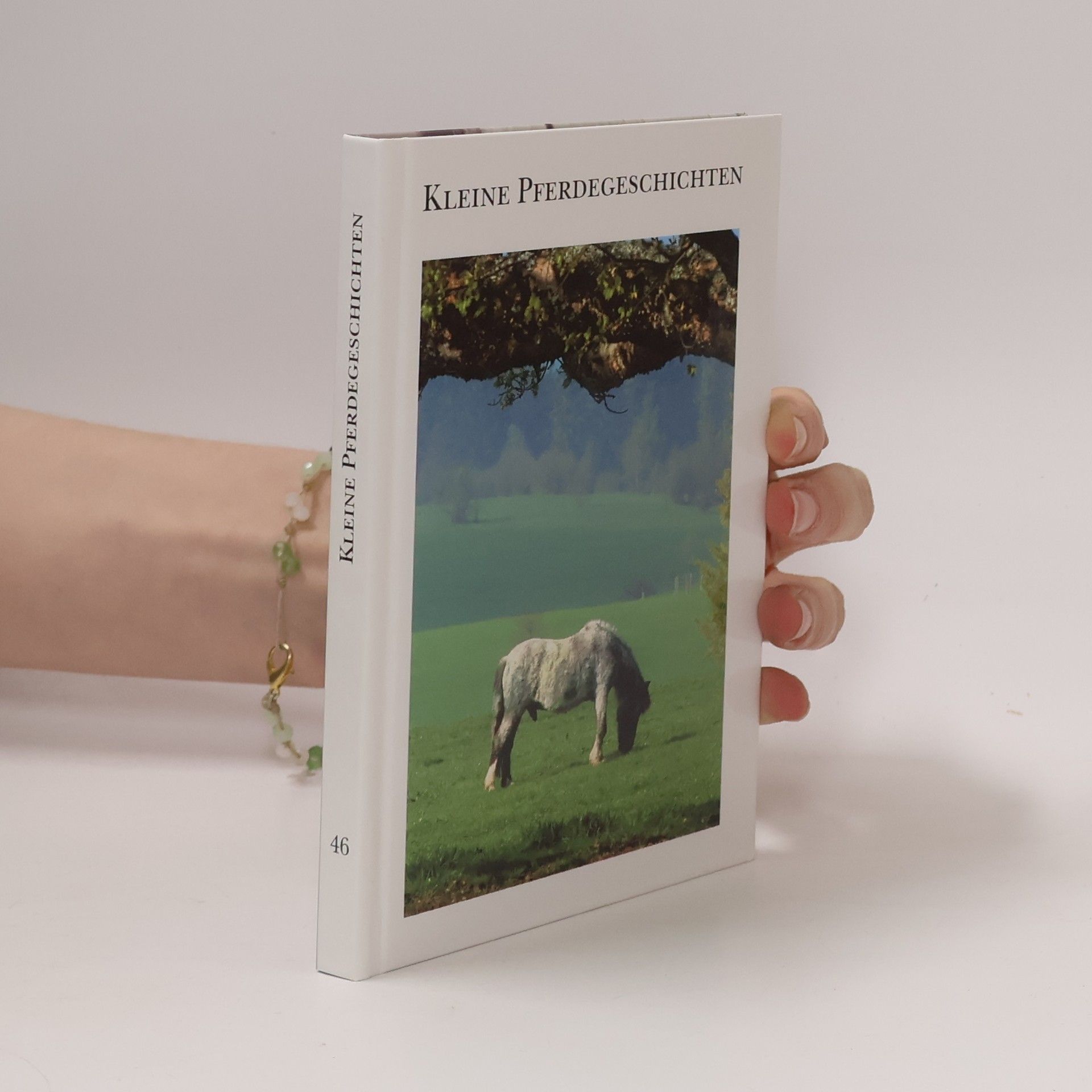Autorenkollektiv Kleine Pferdegeschichten 46