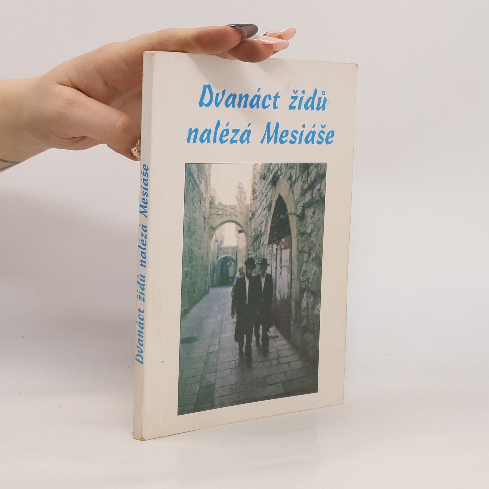 Ben Hoekendijk Dvanáct Židů nalézá Mesiáše