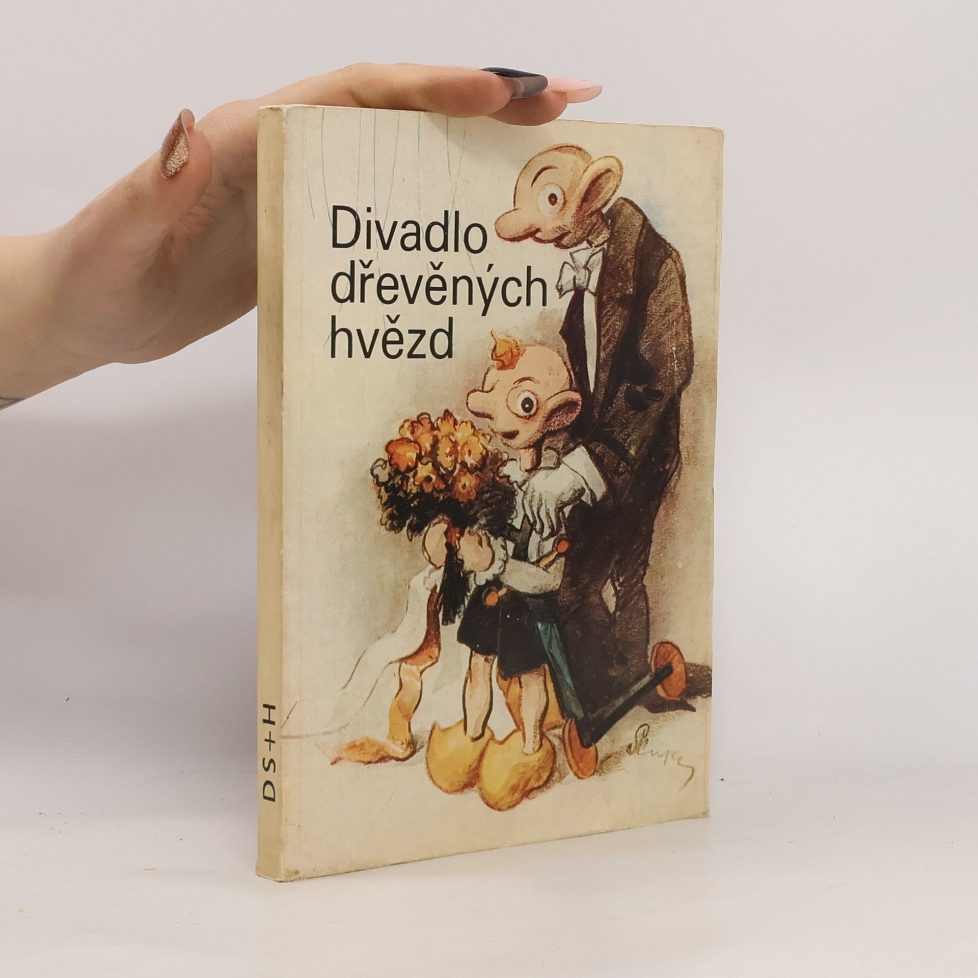 Pavel Grym Divadlo dřevěných hvězd. Fakta a dokumenty o historii Divadla S + H