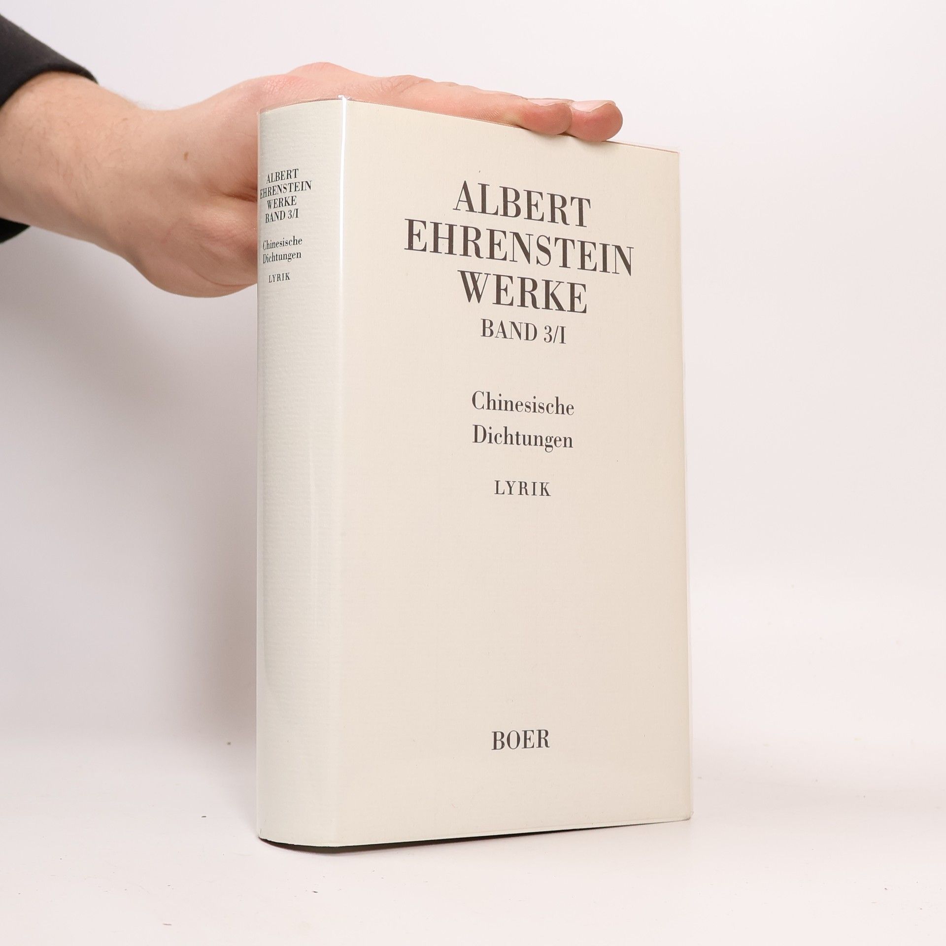 Albert Ehrenstein Werke