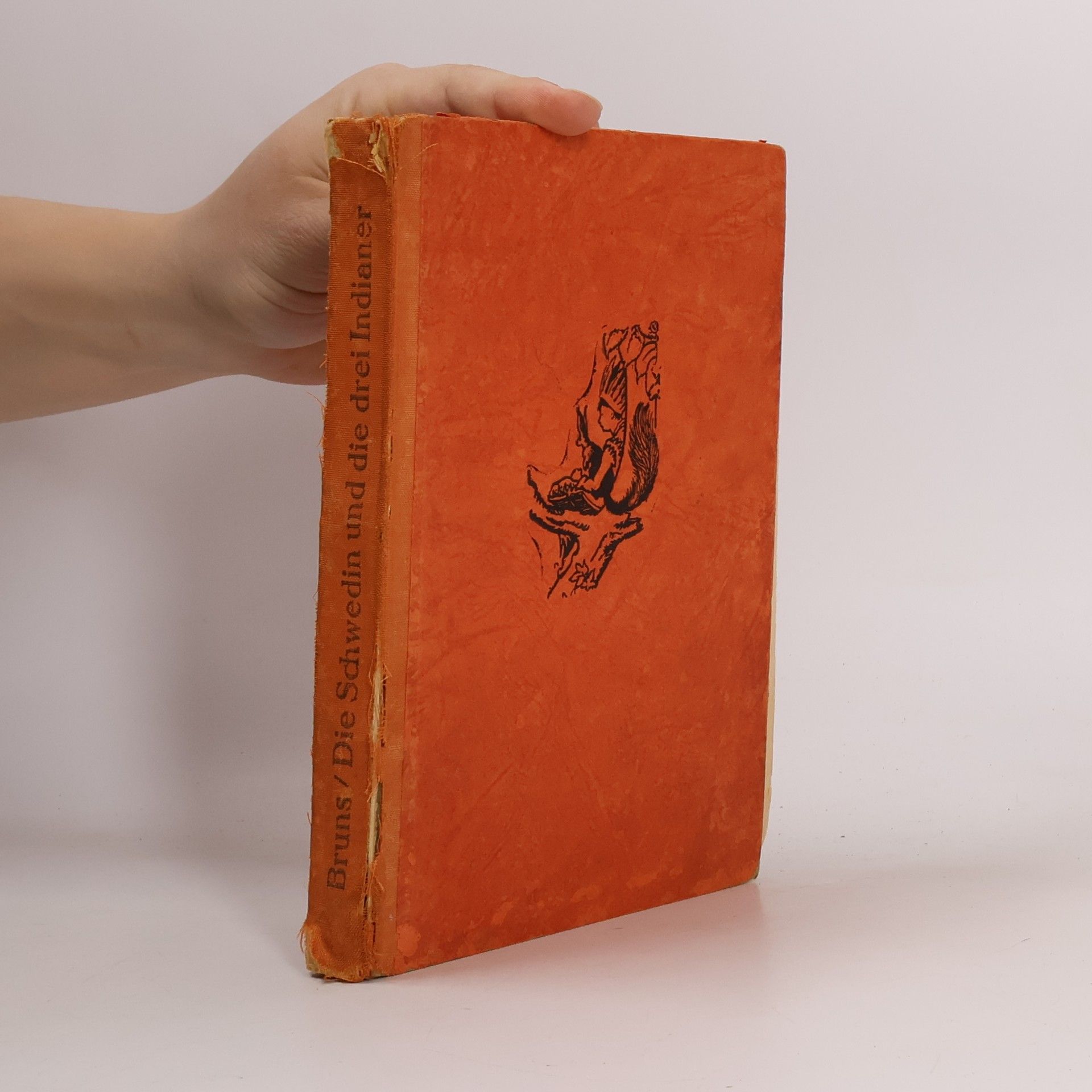 Marianne Bruns Die Schwedin und die drei Indianer