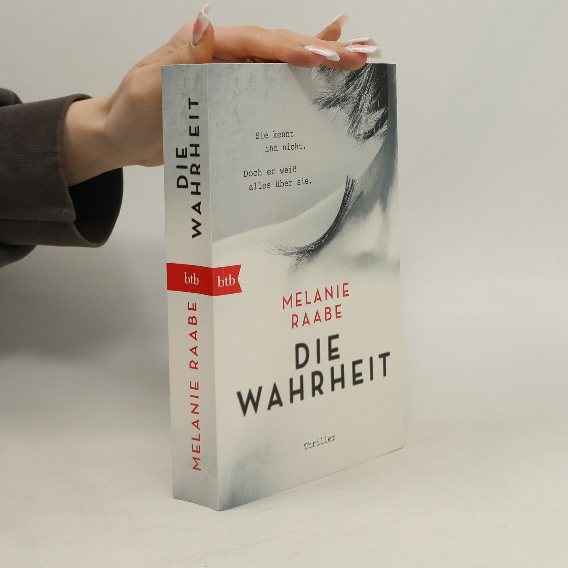 Melanie Raabe Die Wahrheit