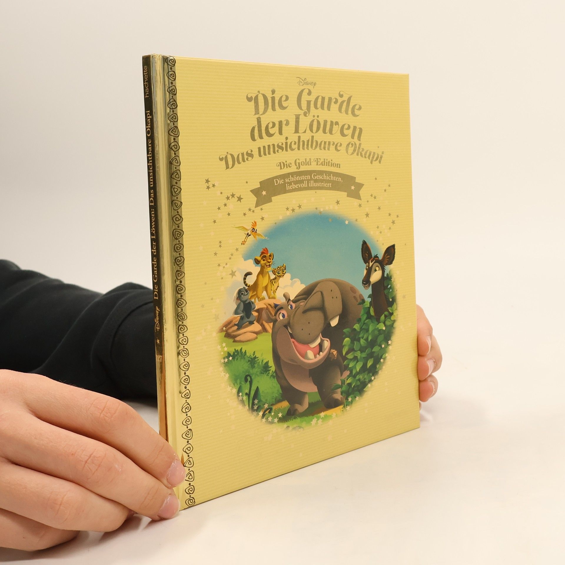 Kolektiv autorů Die Garde der Löwen. Ono und das Nashorn