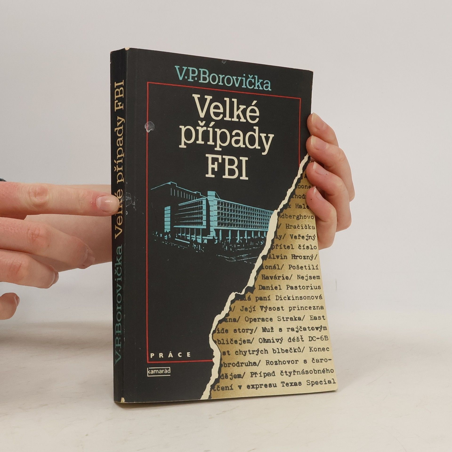 Václav Pavel Borovička Velké případy FBI