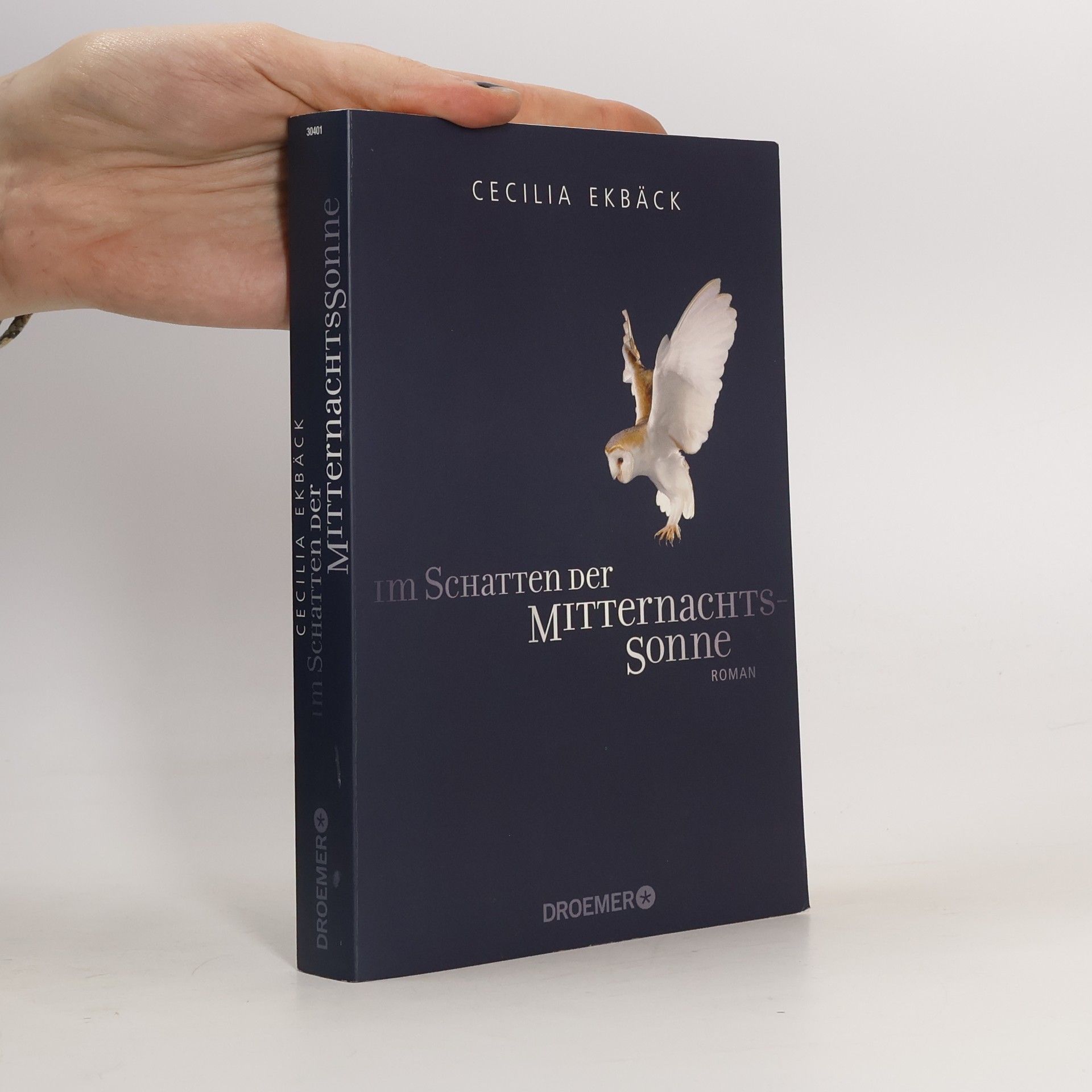 Cecilia Ekbäck Im Schatten der Mitternachtssonne